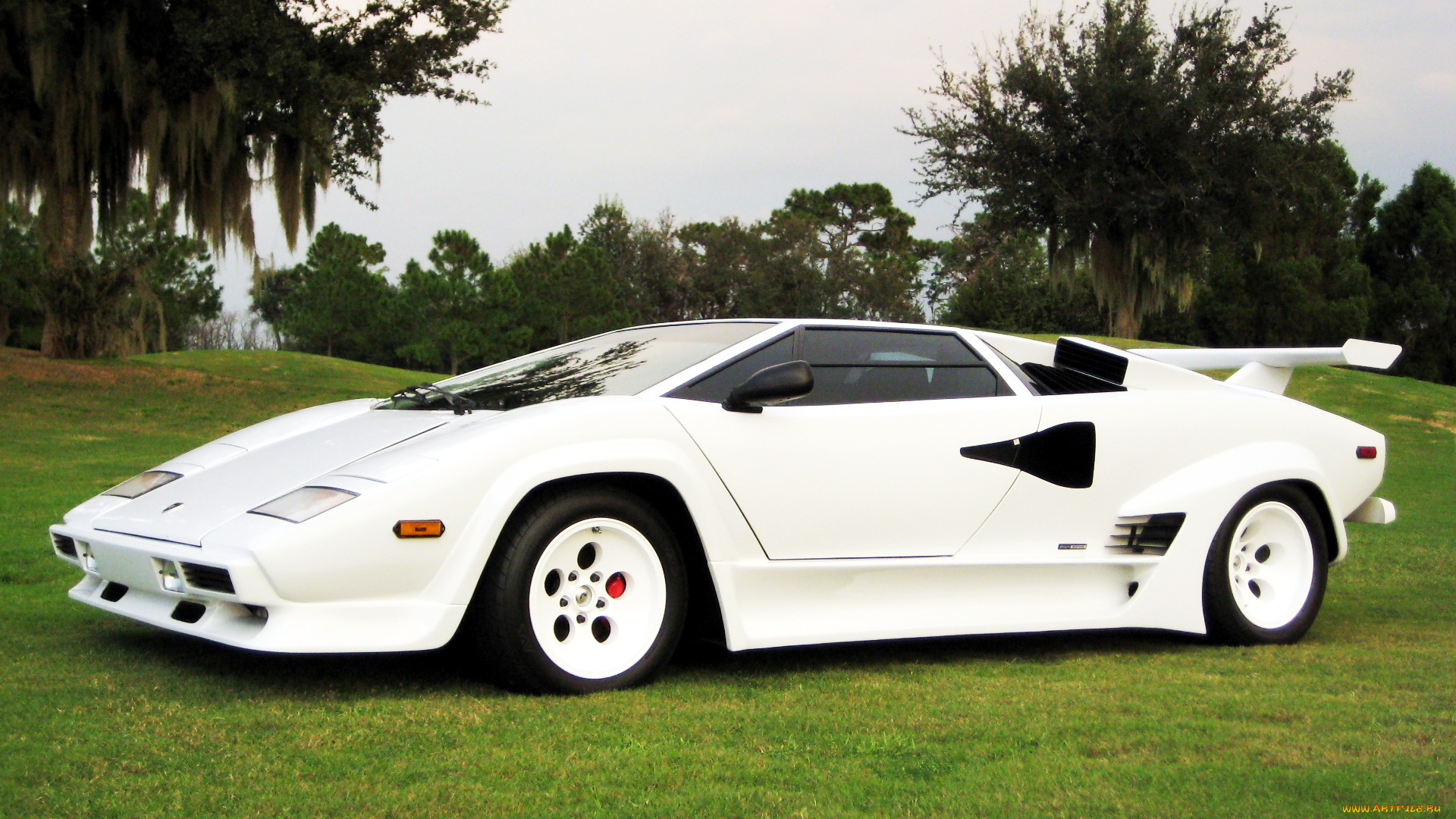 lamborghini, countach, автомобили, спортивные, италия, automobili, s, p, a