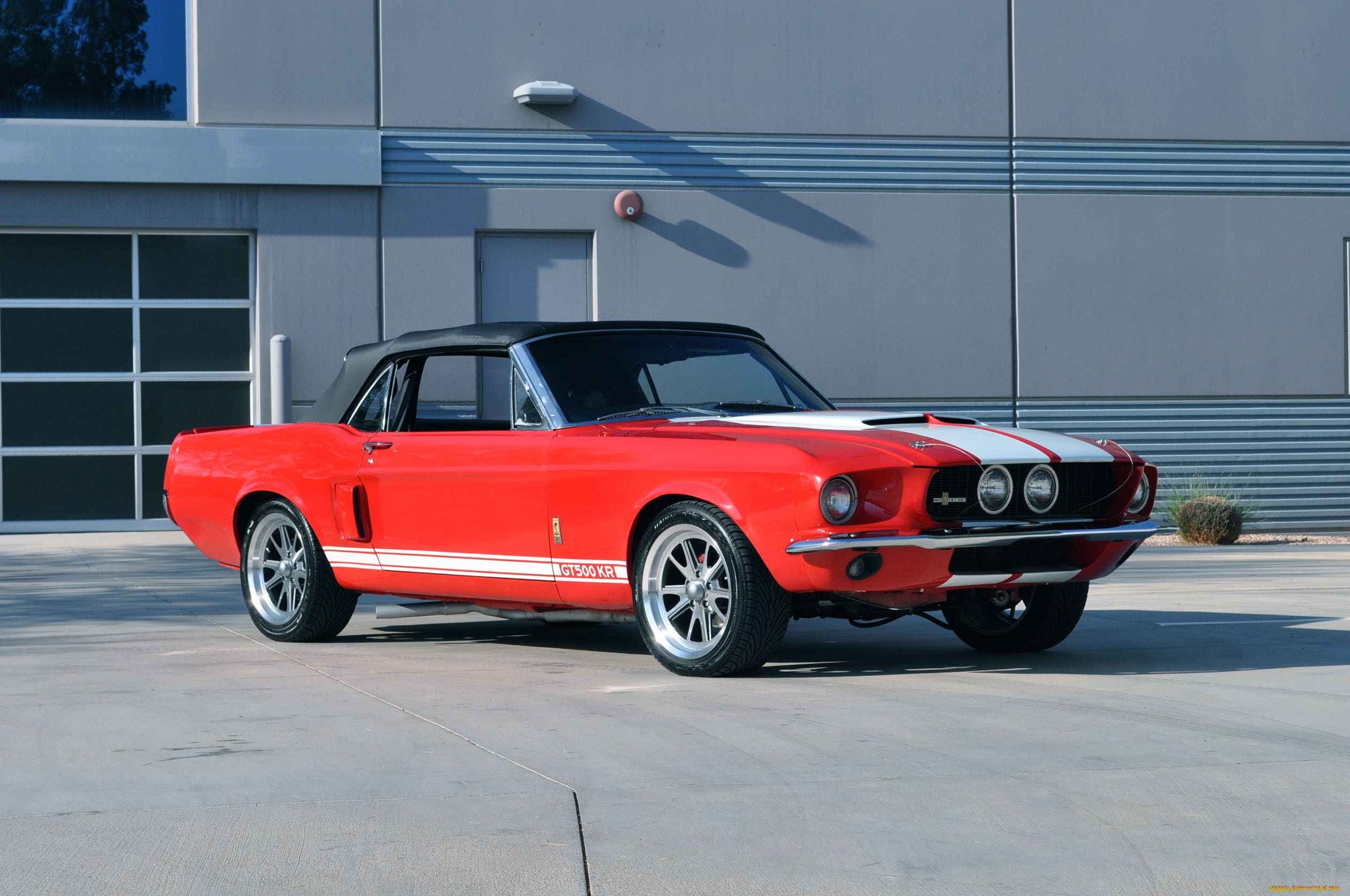 автомобили, mustang