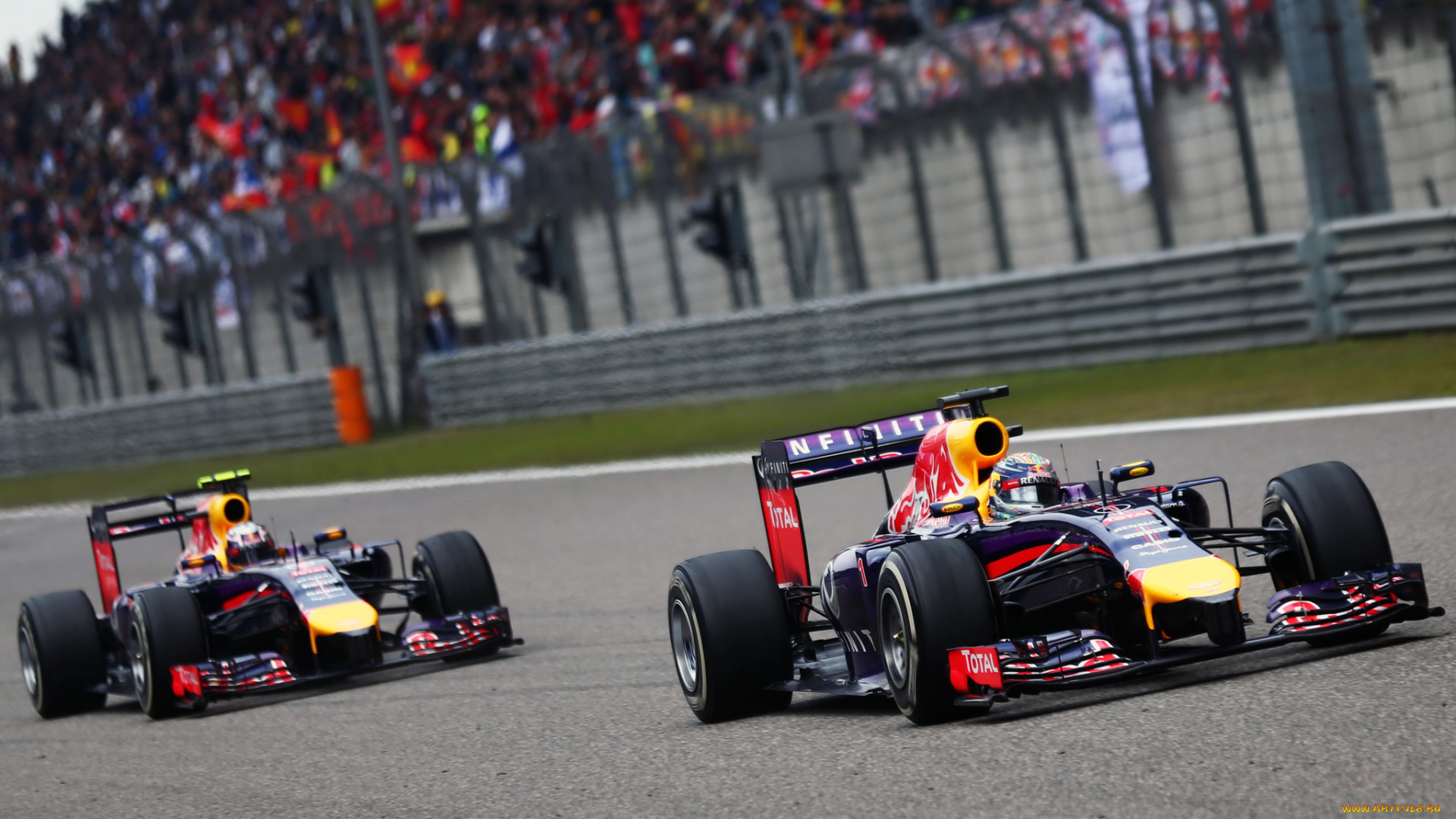 спорт, автоспорт, скорость, гонка, 2014, rb10, red, bull