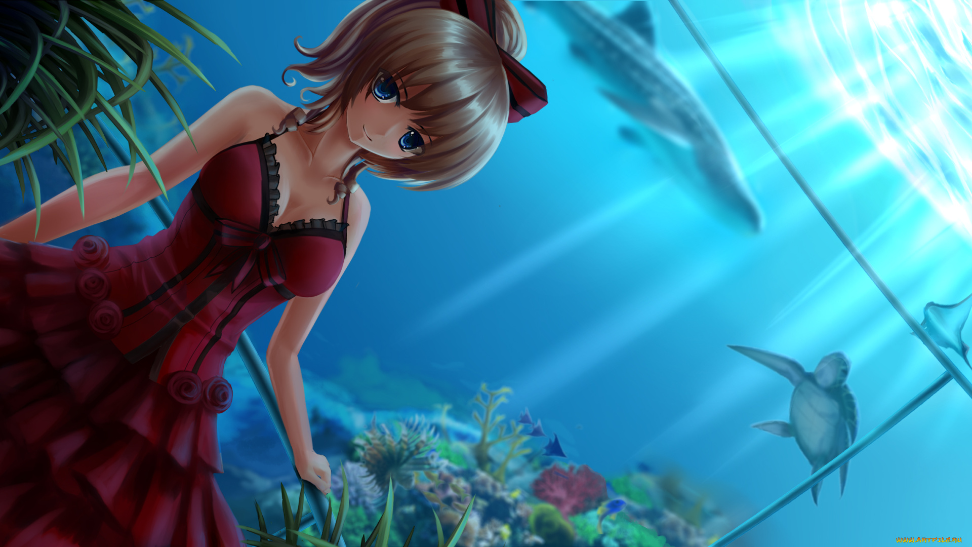аниме, животные, , существа, платье, девушка, арт, черепаха, вода, взгляд, аквариум