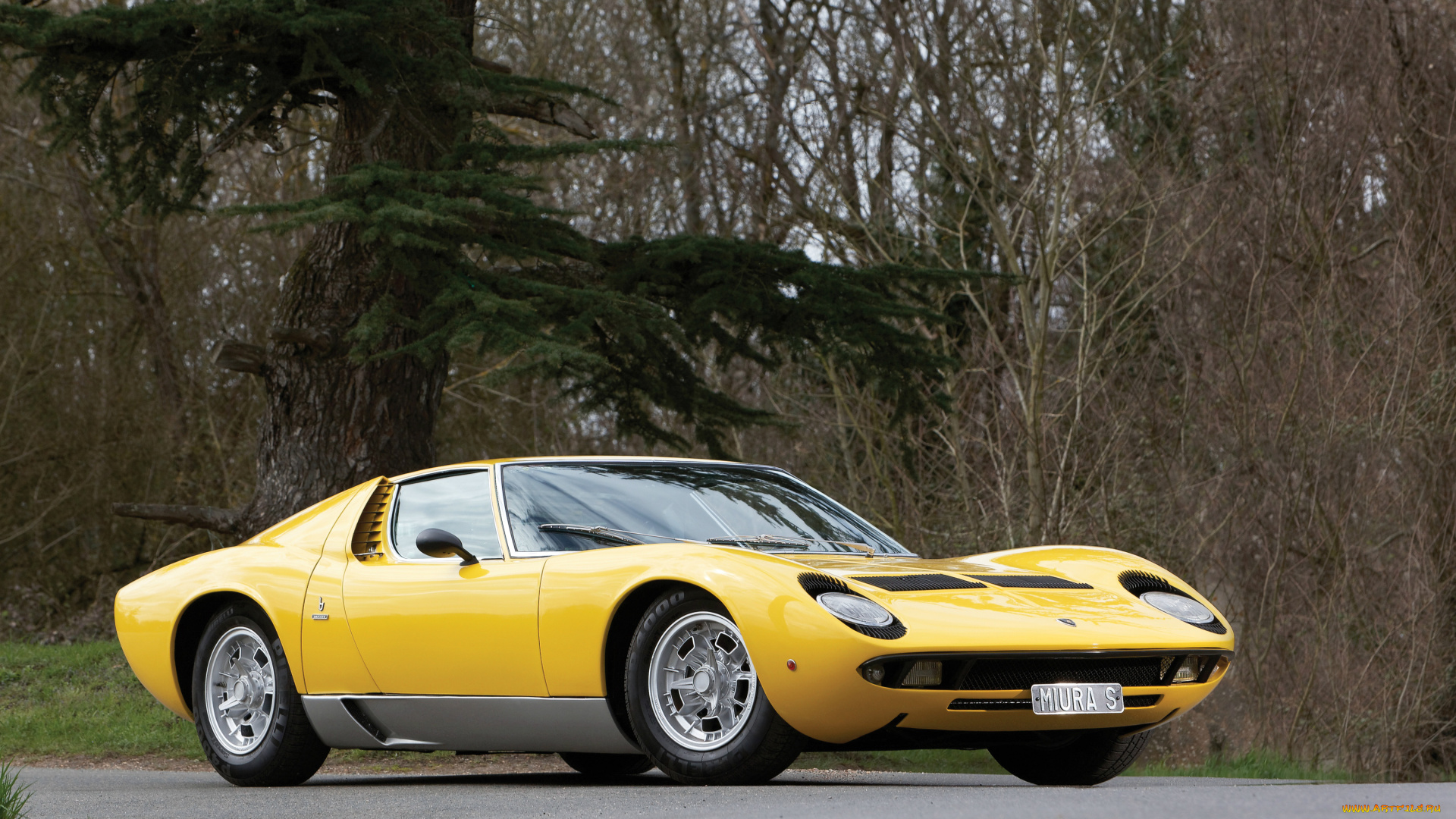 автомобили, lamborghini