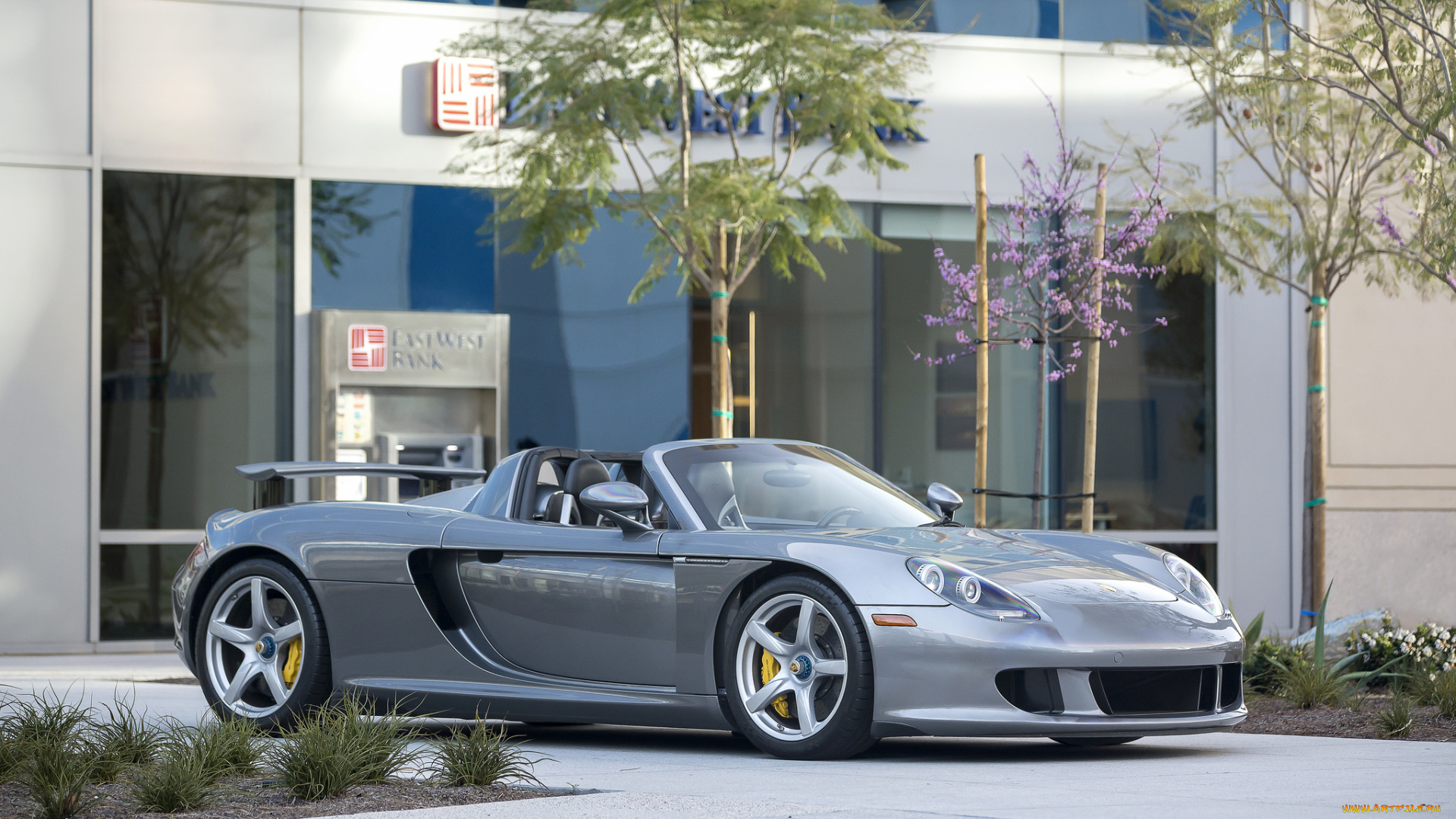 porsche, carrera, gt, автомобили, porsche, спорткар