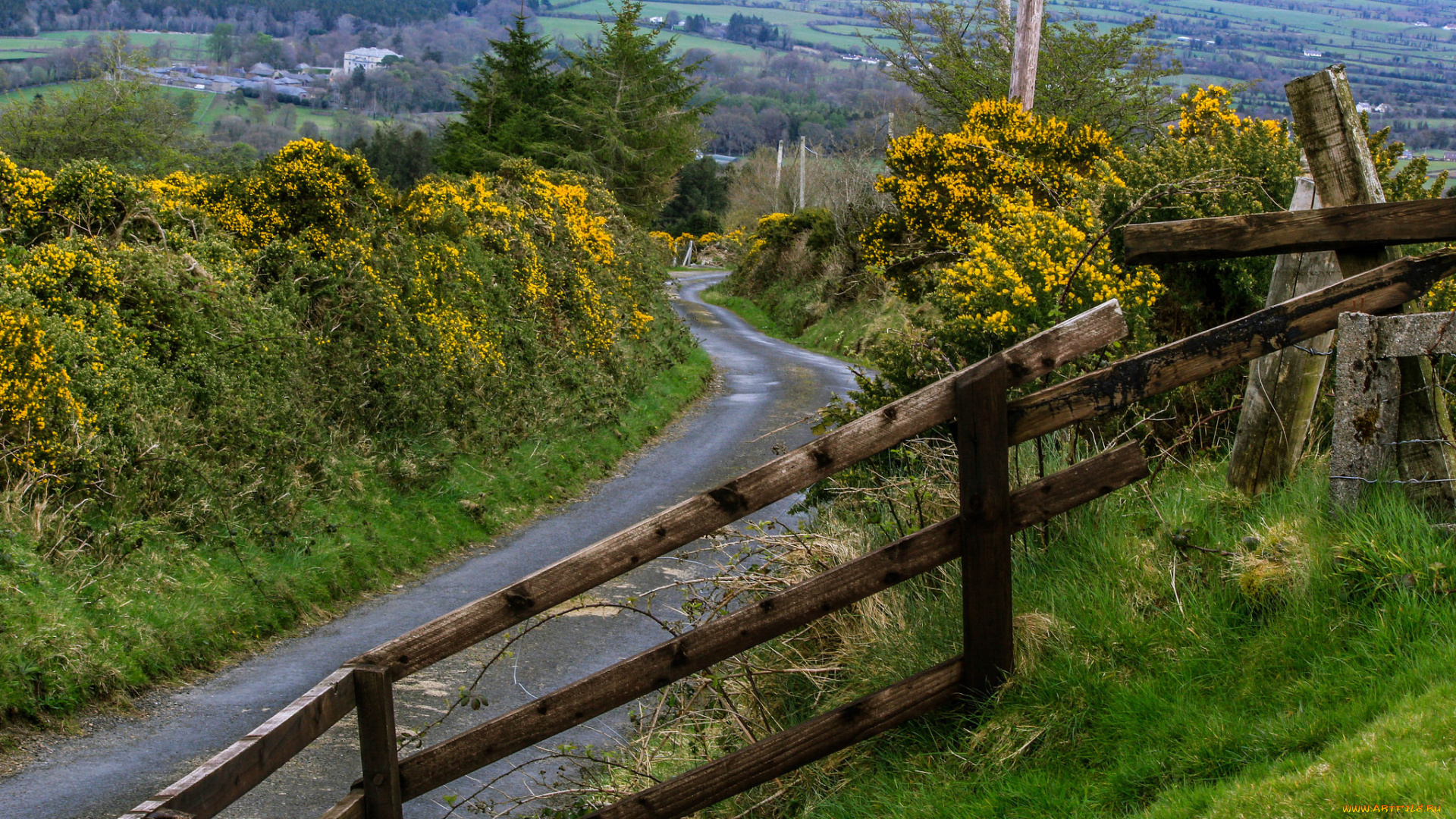 природа, дороги, склон, дорожка, изгородь