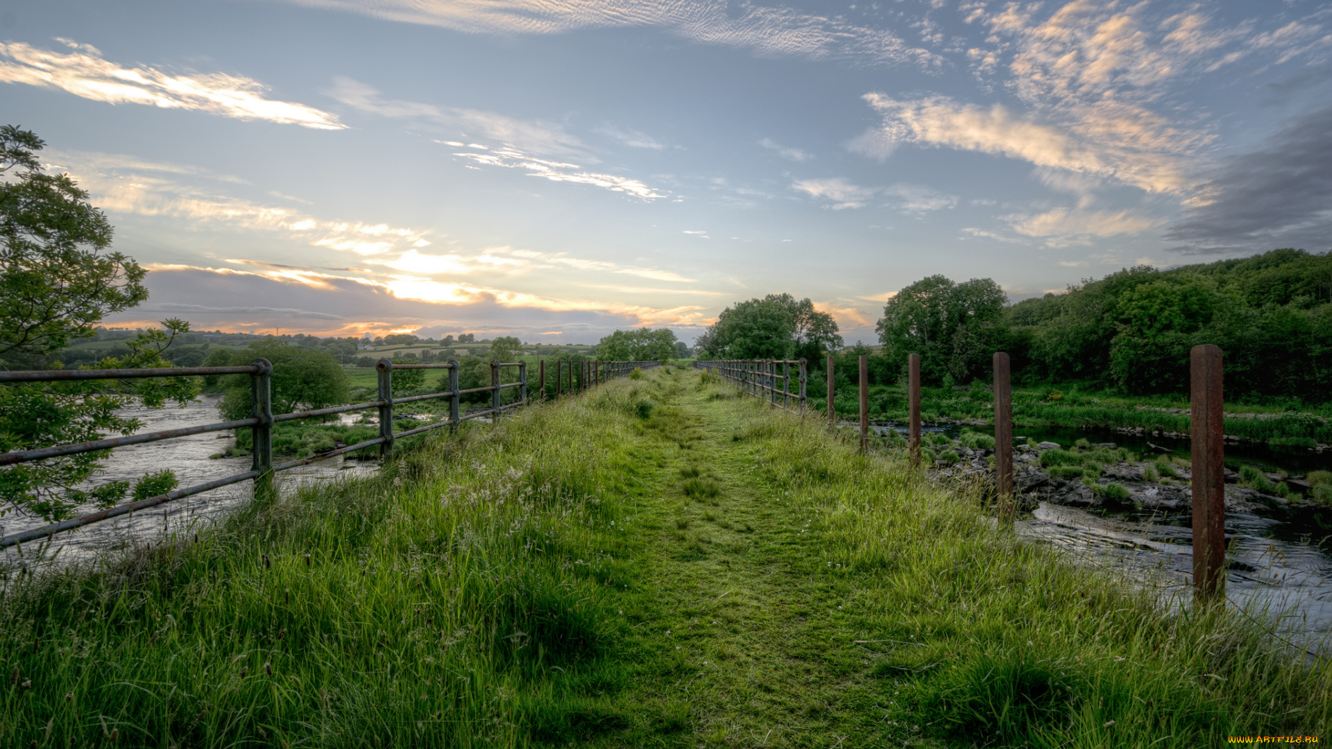 природа, дороги, трава, вода, тропинка