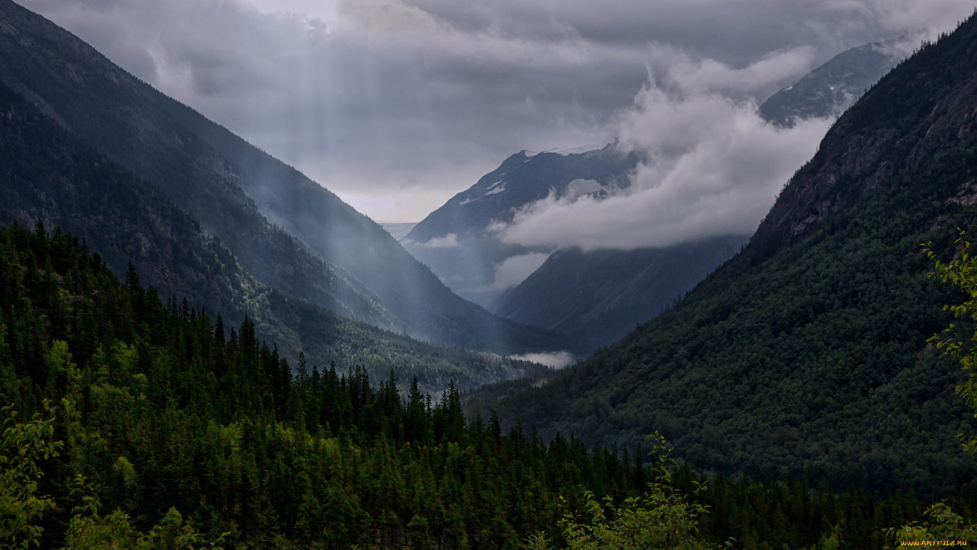 природа, горы, лес, лучи, облака, тучи