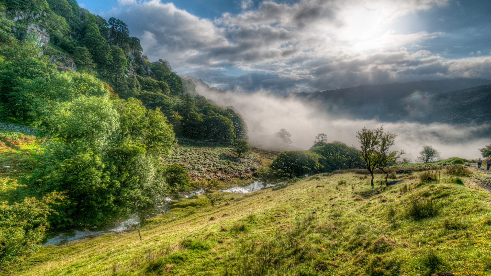 природа, пейзажи, река, лес
