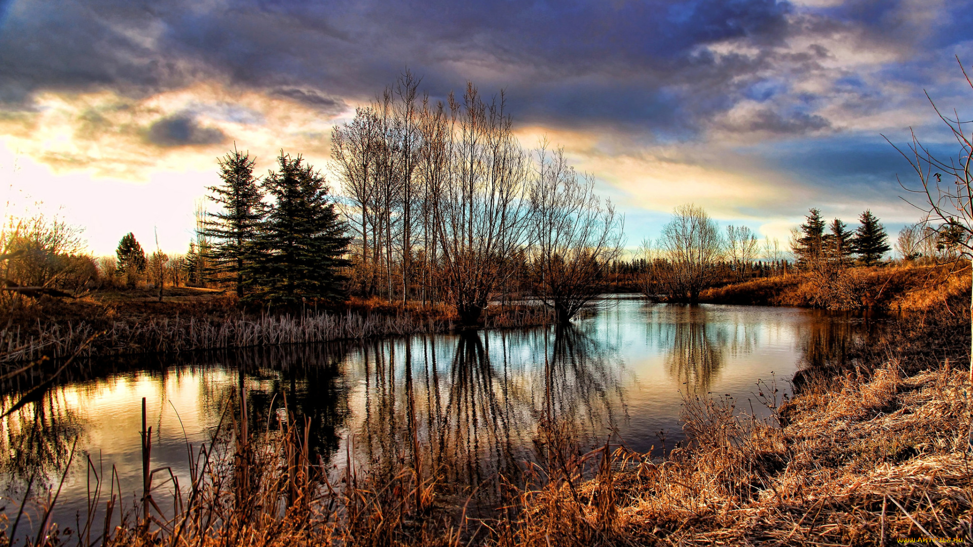 природа, реки, озера, лес, река