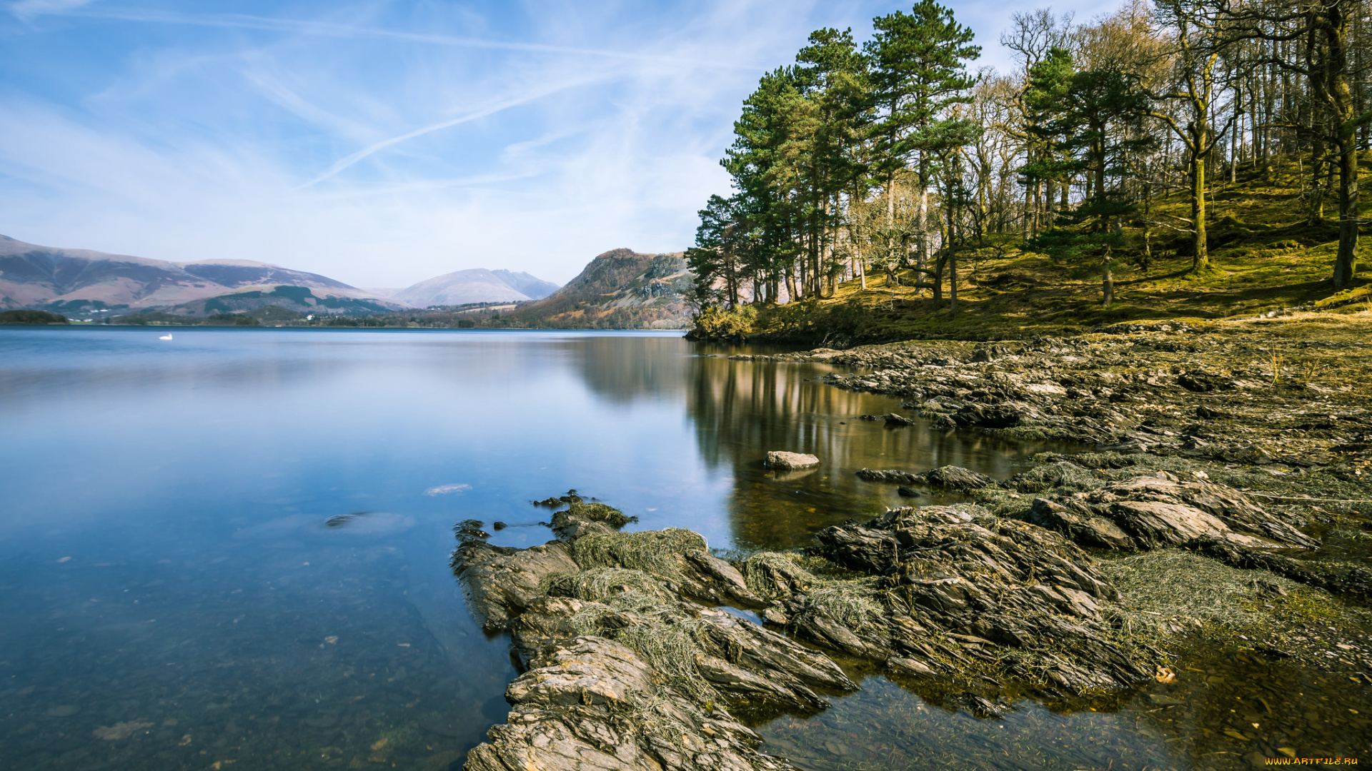 природа, реки, озера, лес, река