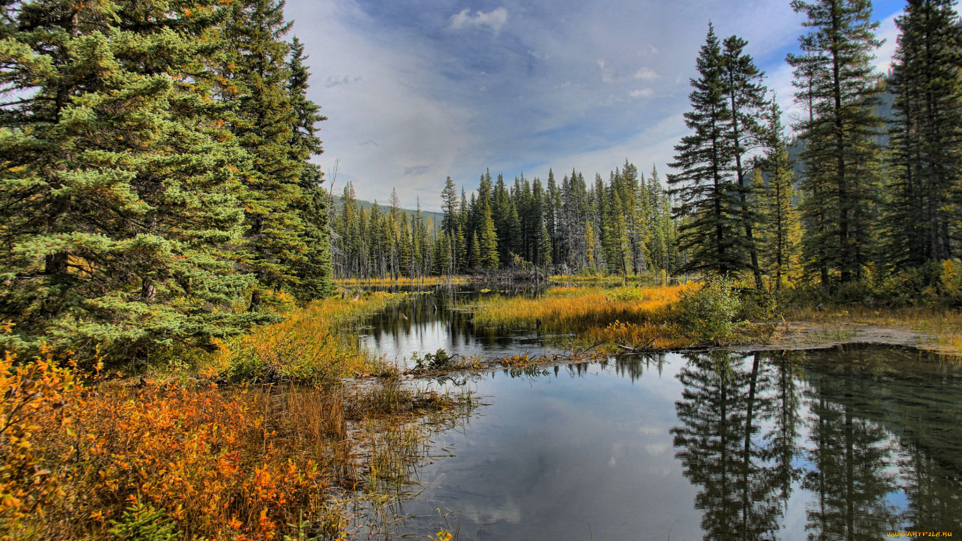 природа, реки, озера, отражение, река, лес