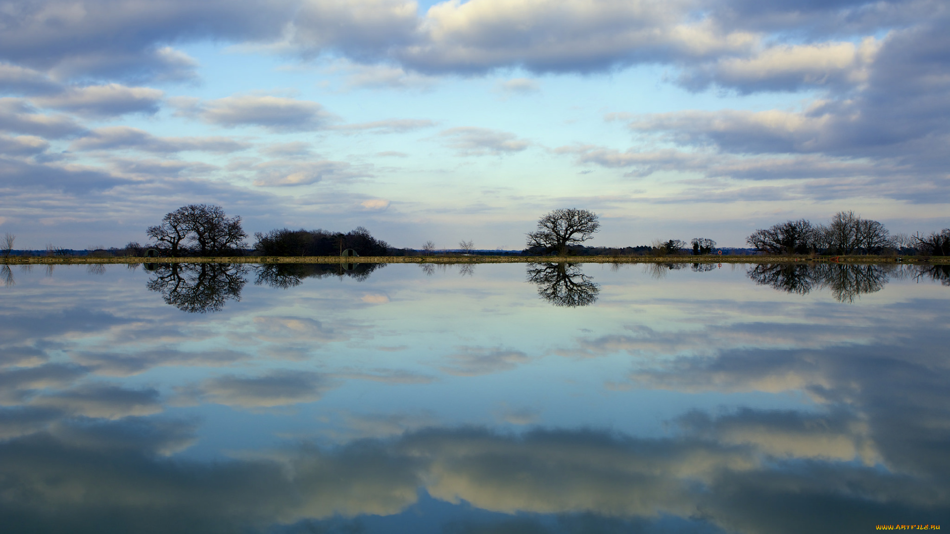 природа, реки, озера, озеро, отражение, дерево, небо, облака