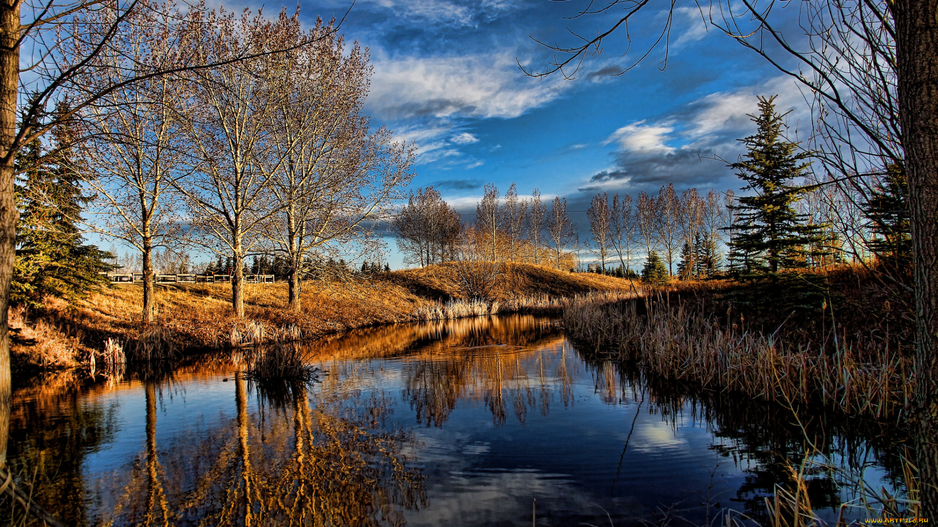 природа, реки, озера, река, лес