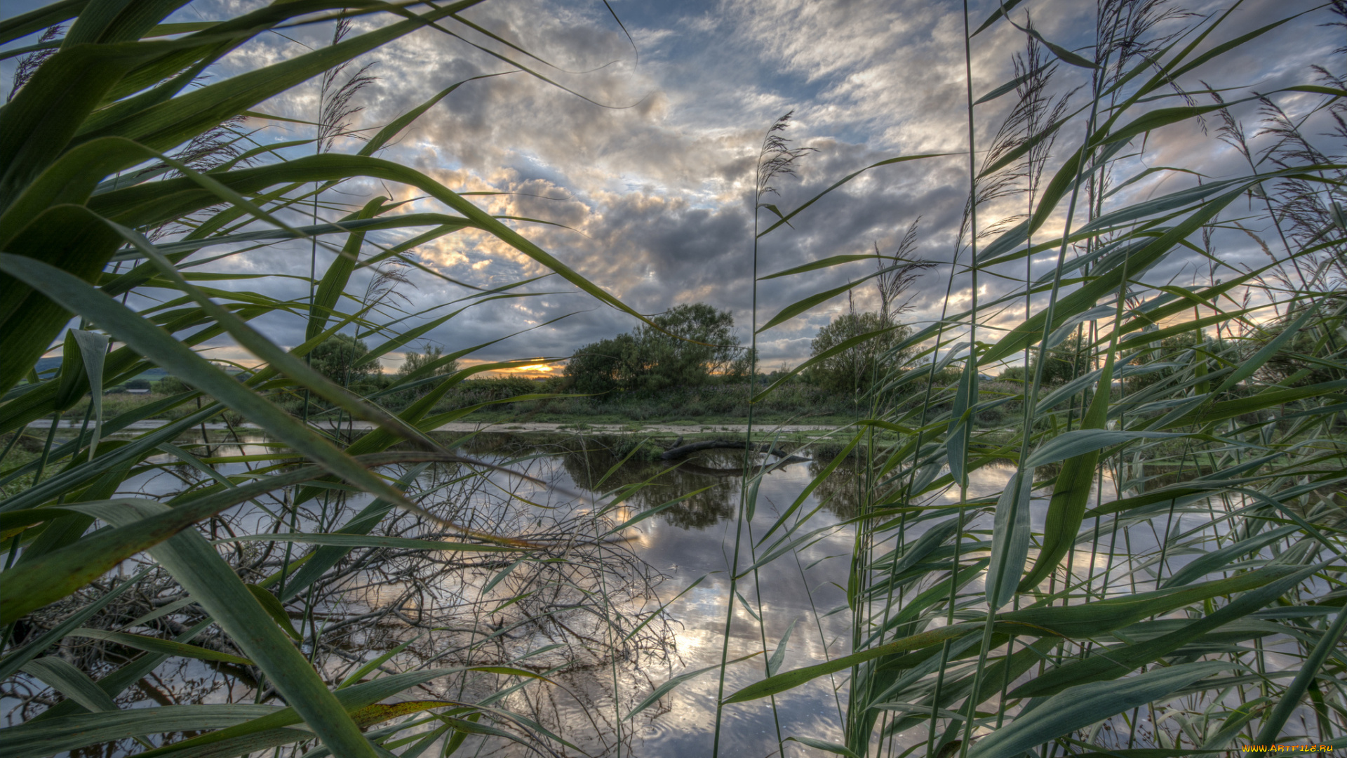 природа, реки, озера, река, лес