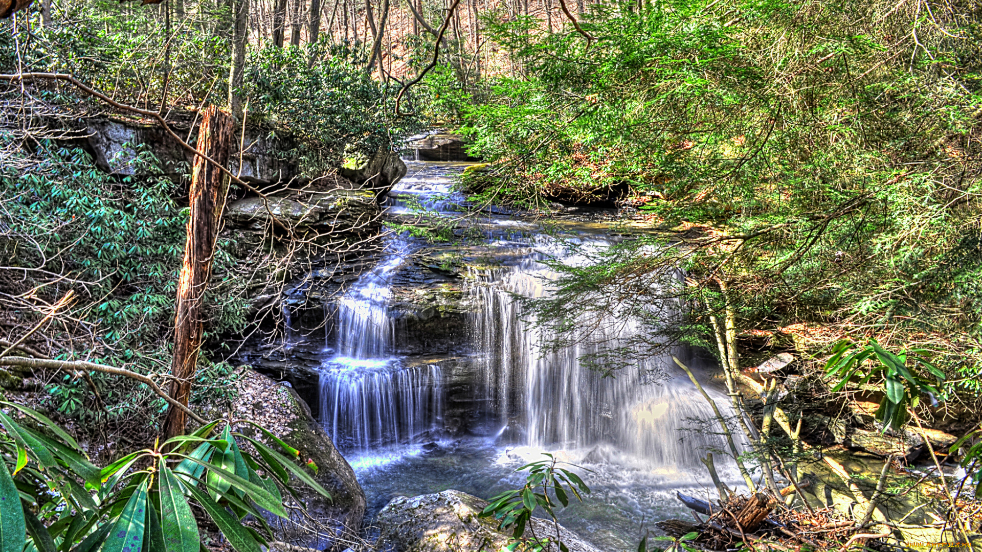 природа, водопады, лес, река, водопад