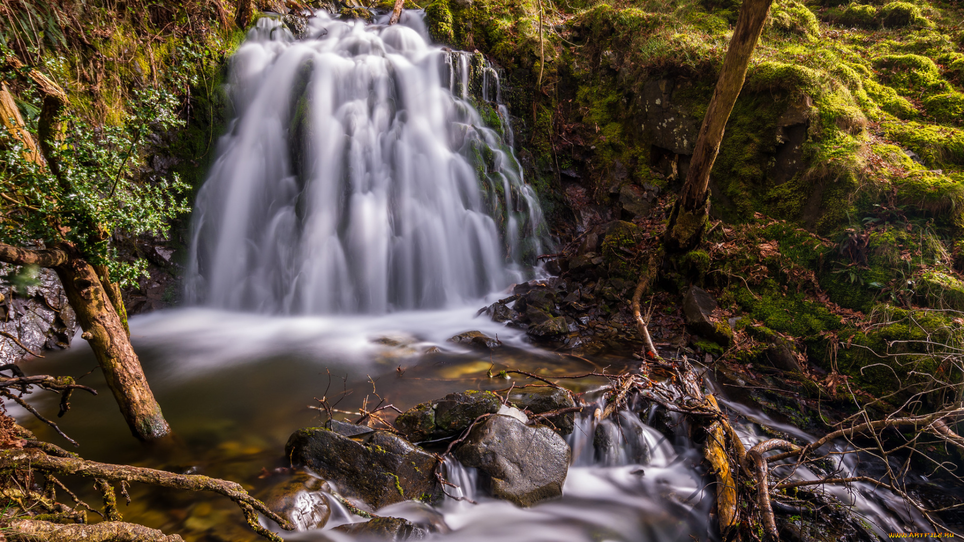 природа, водопады, водопад, река, лес