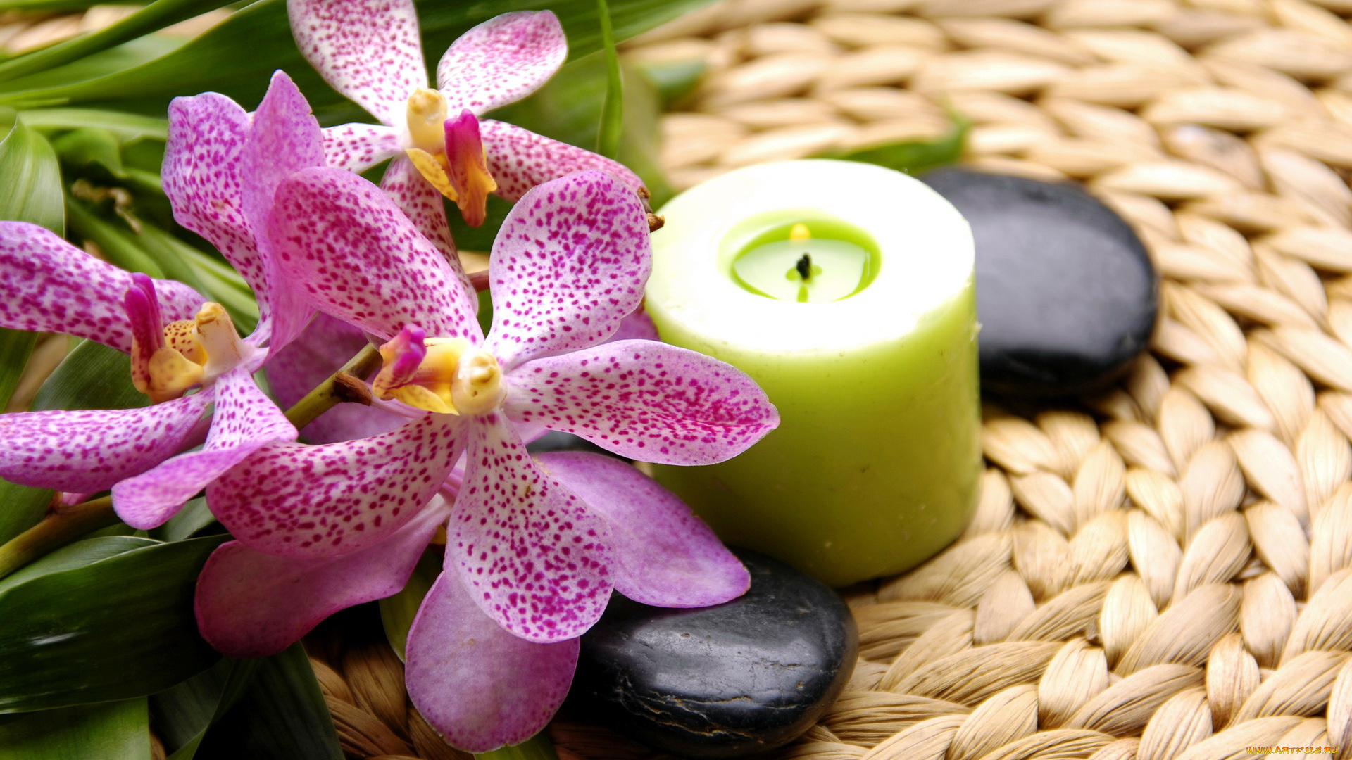 разное, свечи, орхидеи