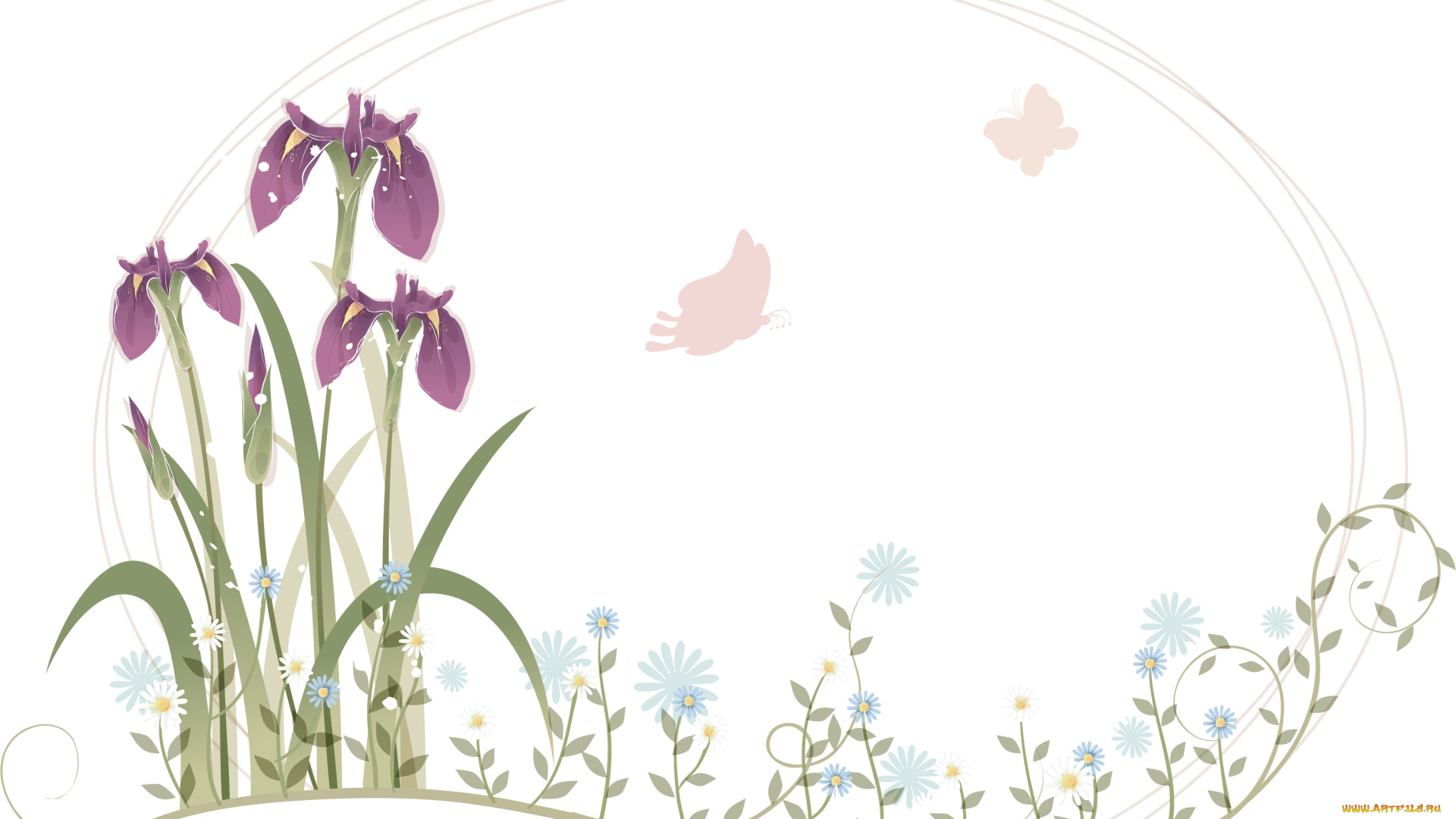 векторная, графика, цветы, , flowers, фон, бабочки, цветы