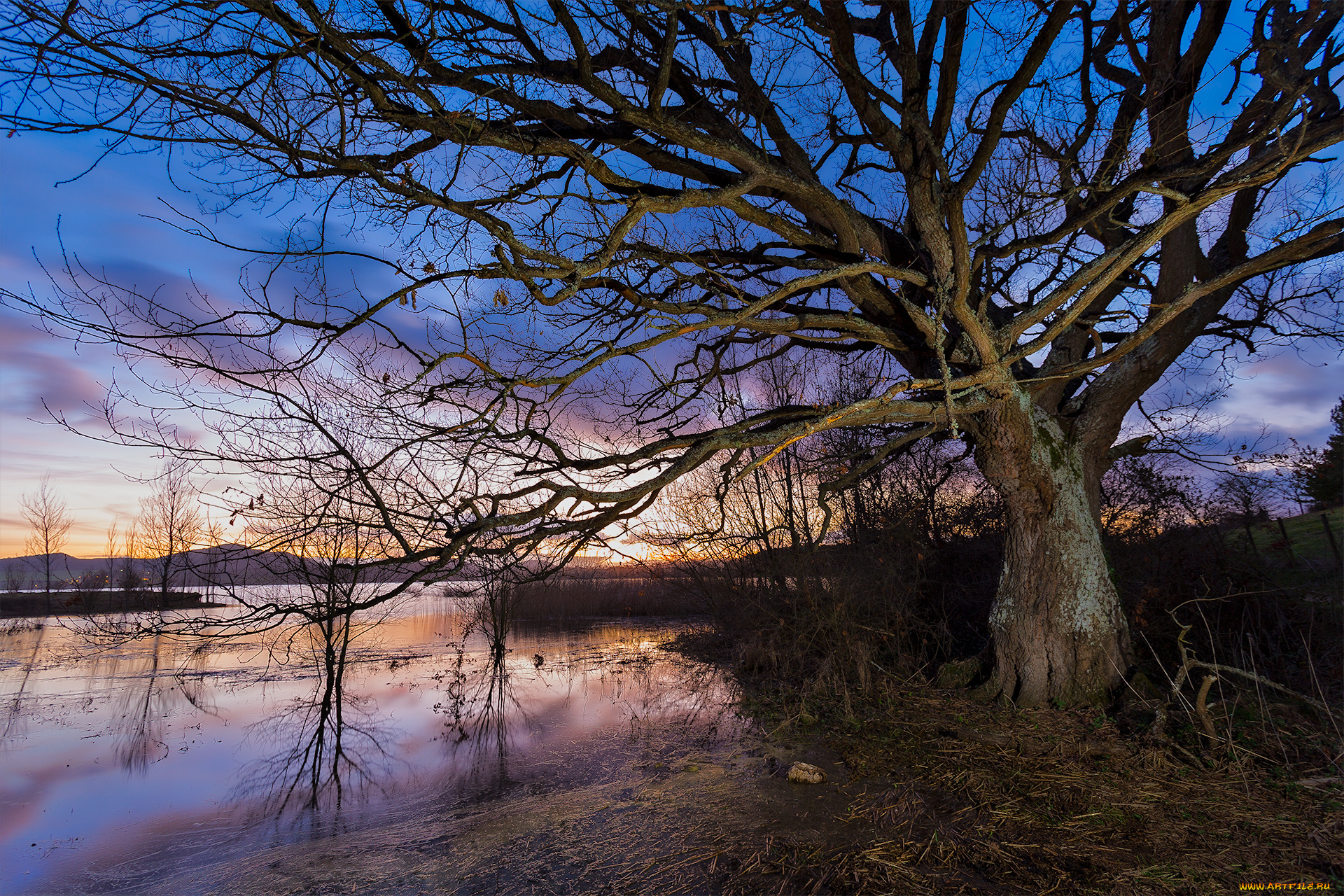 природа, реки, озера, река, лес