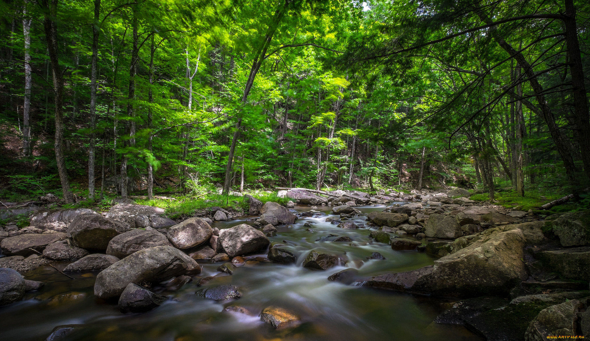 природа, реки, озера, камни, лес, река