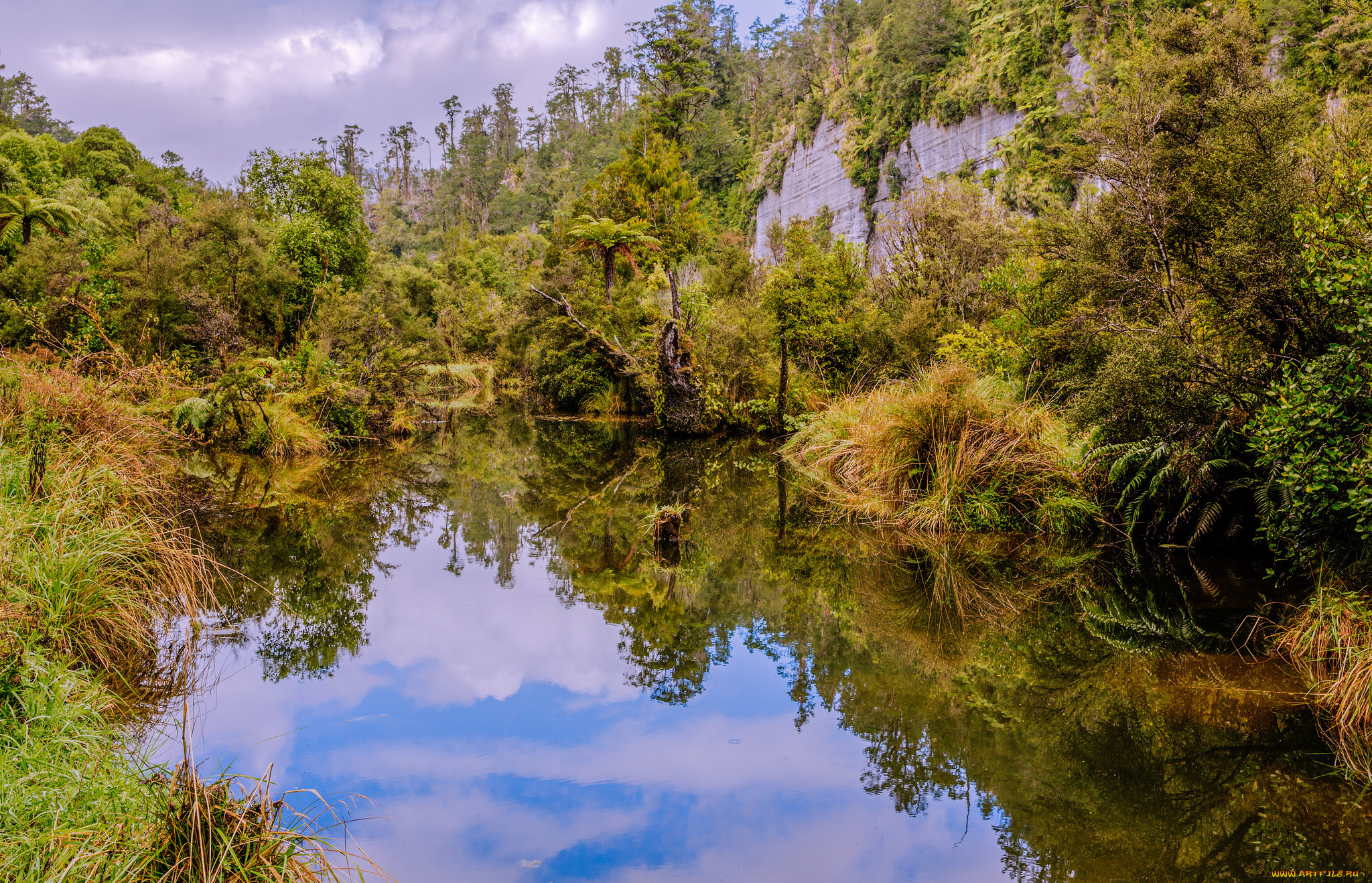 природа, реки, озера, лес, река