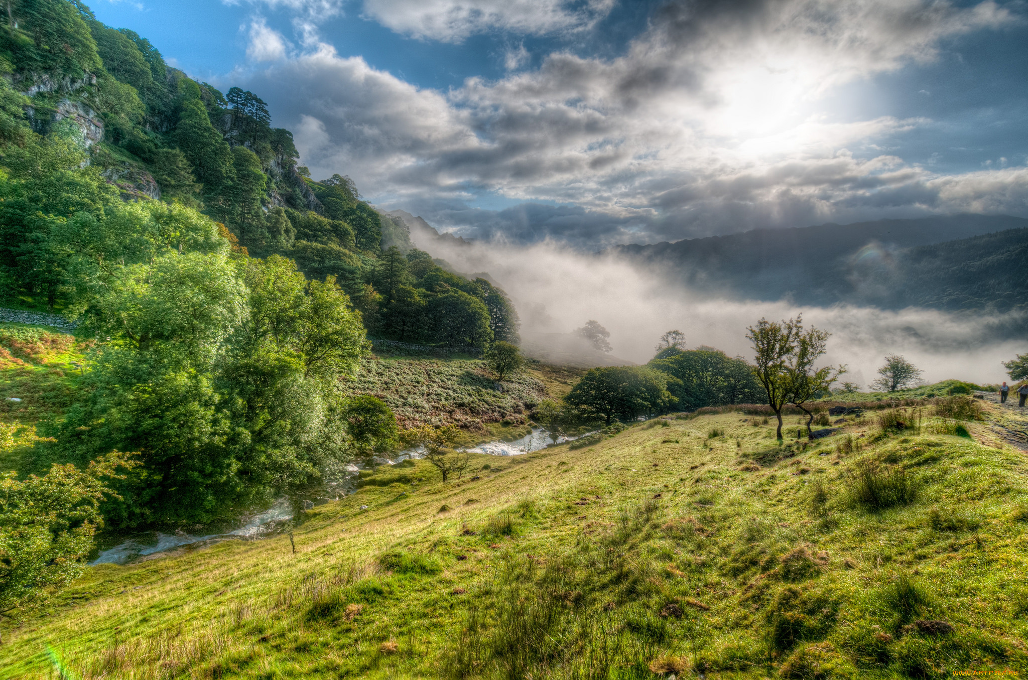 природа, пейзажи, река, лес