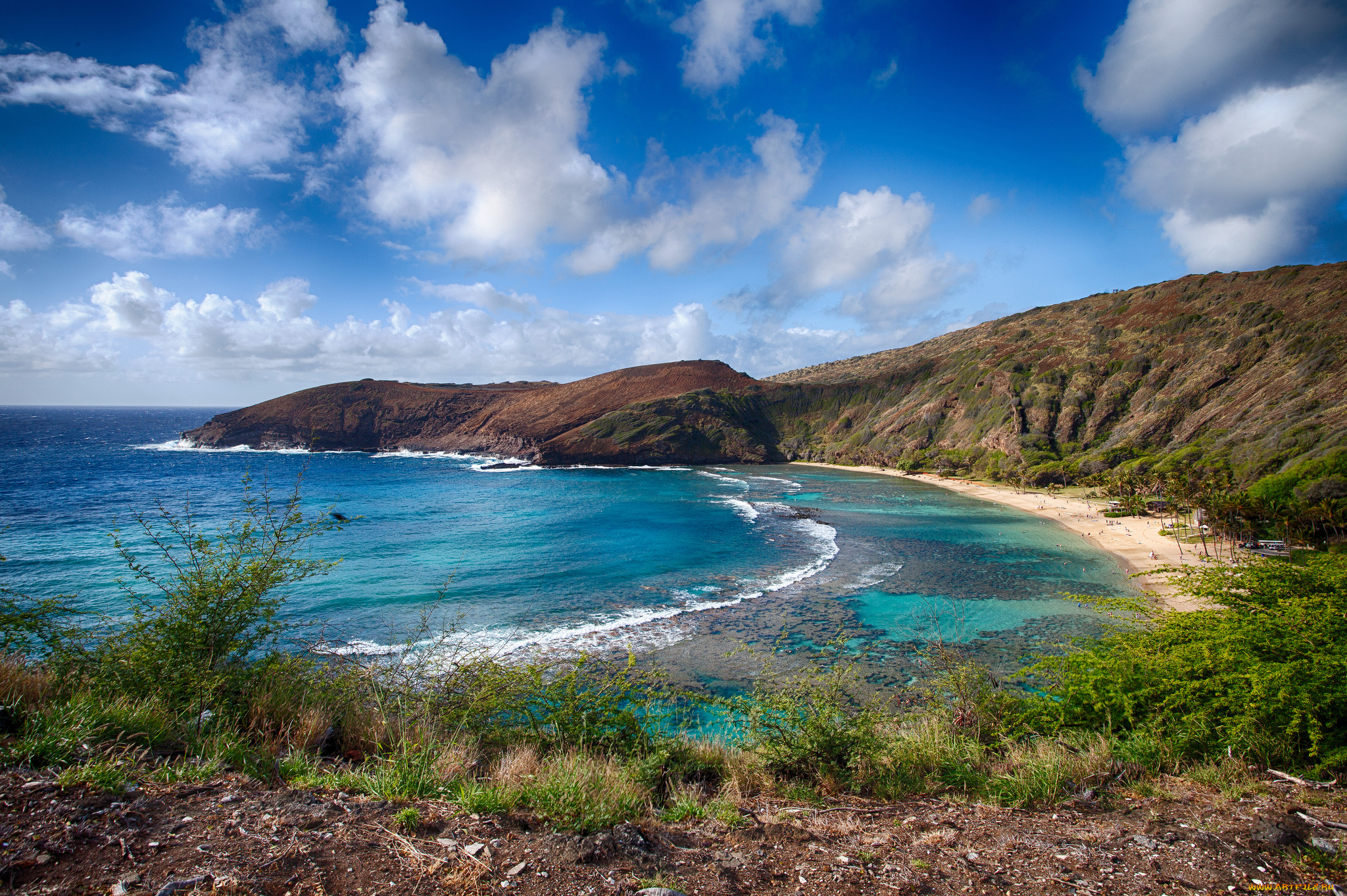 природа, побережье, пляж, океан