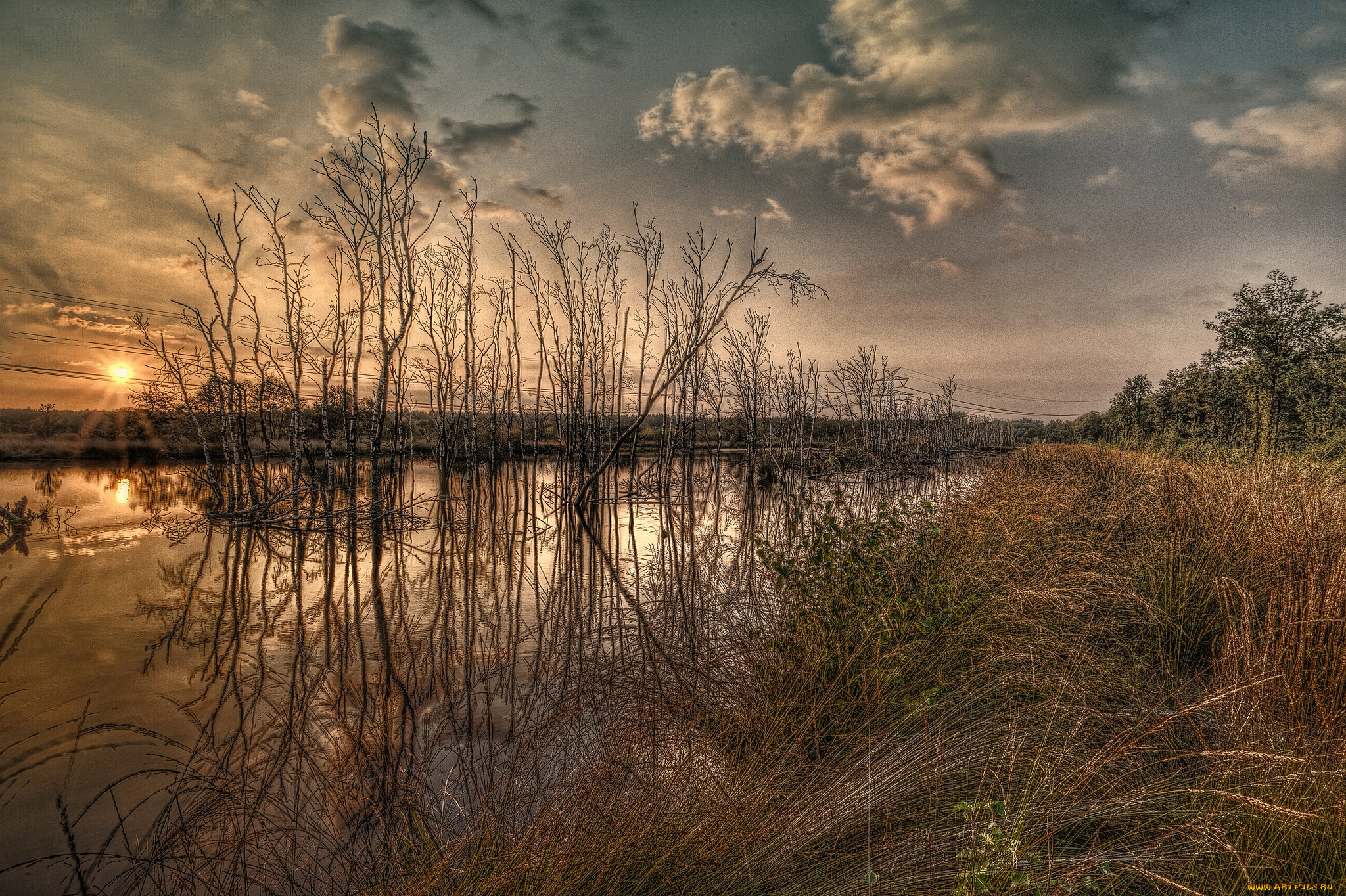 природа, реки, озера, река, лес