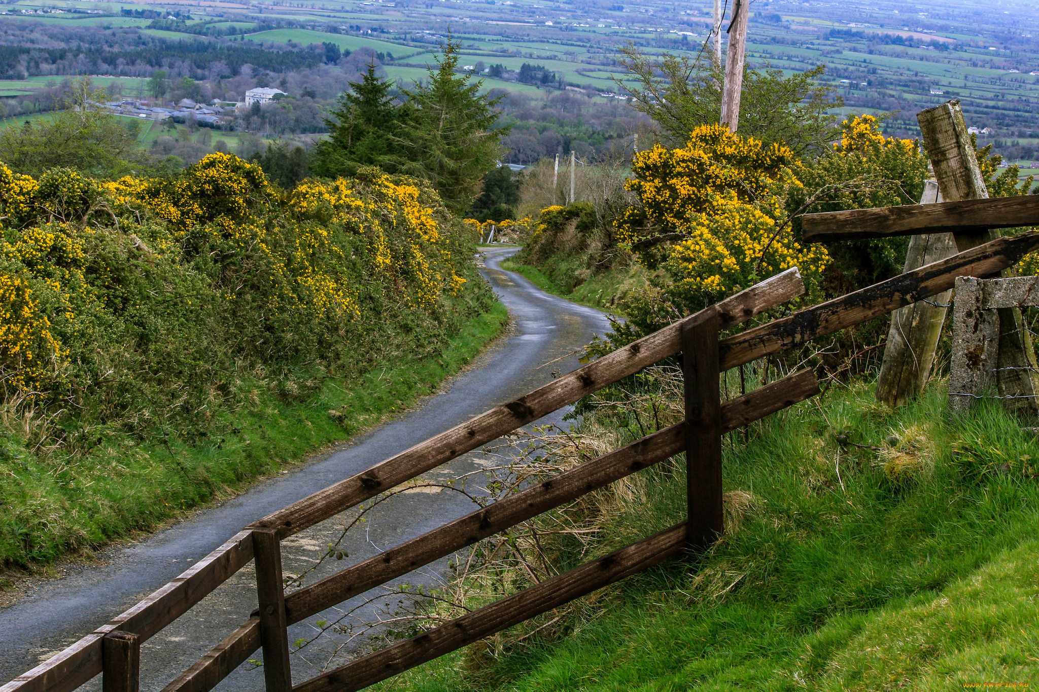 природа, дороги, склон, дорожка, изгородь