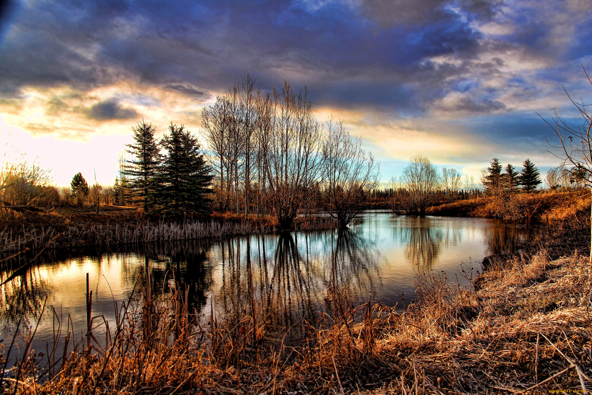 природа, реки, озера, лес, река