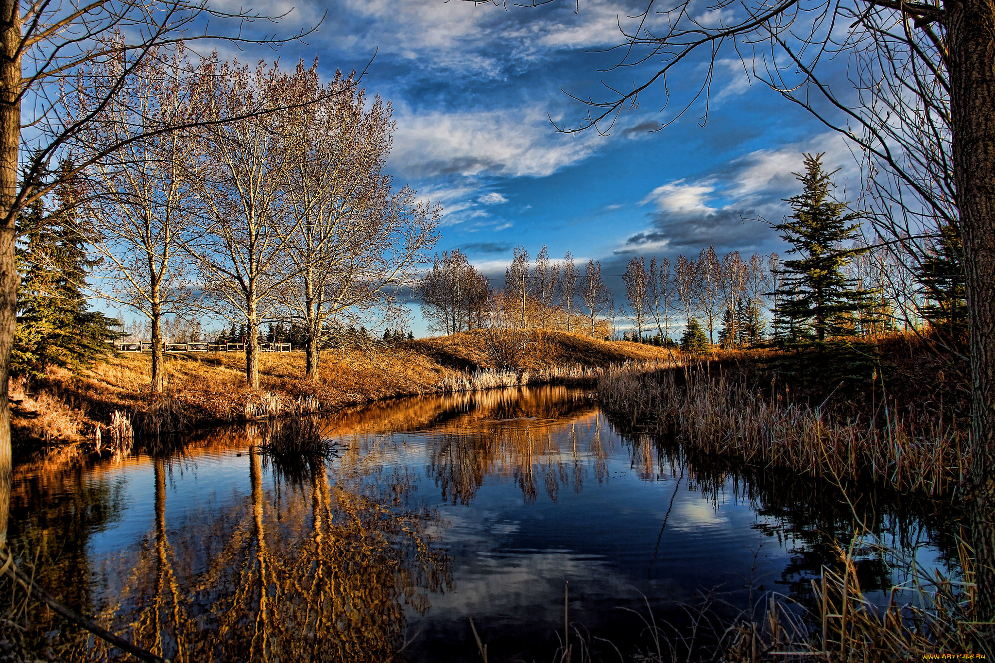 природа, реки, озера, река, лес