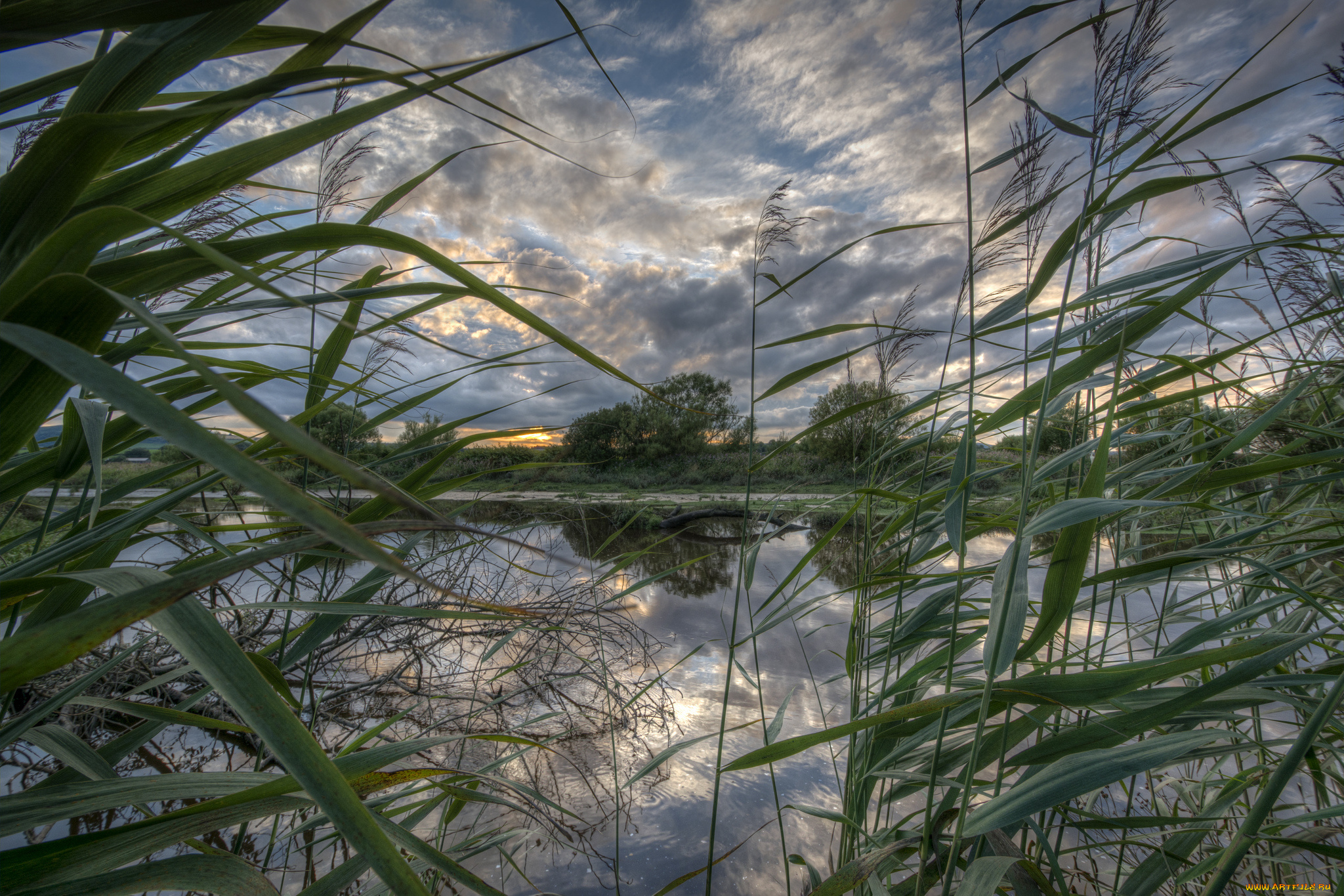 природа, реки, озера, река, лес