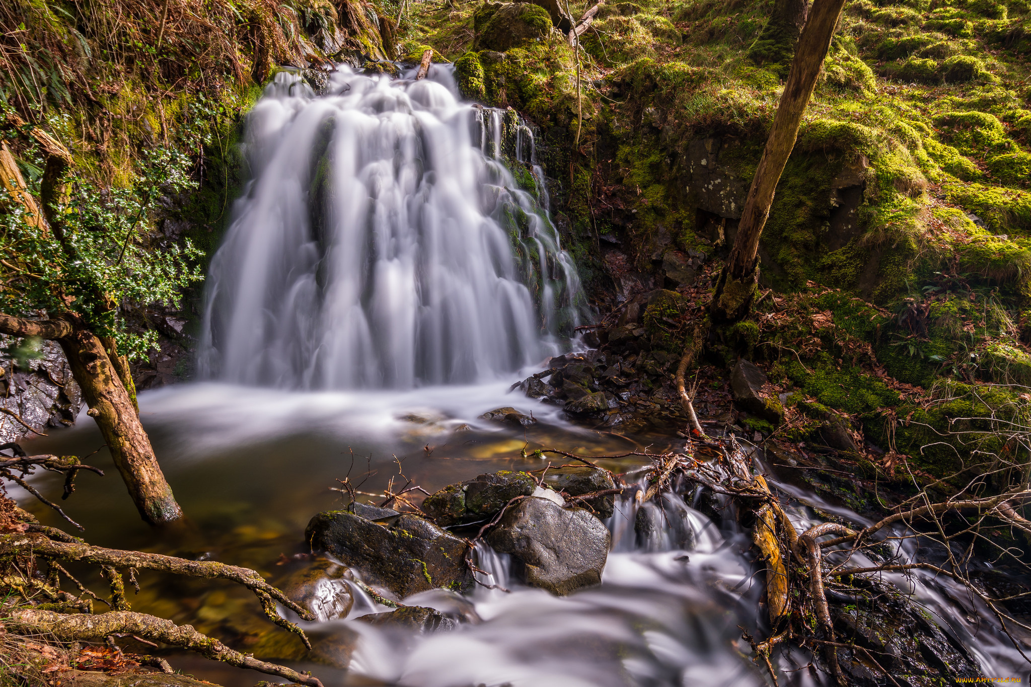 природа, водопады, водопад, река, лес