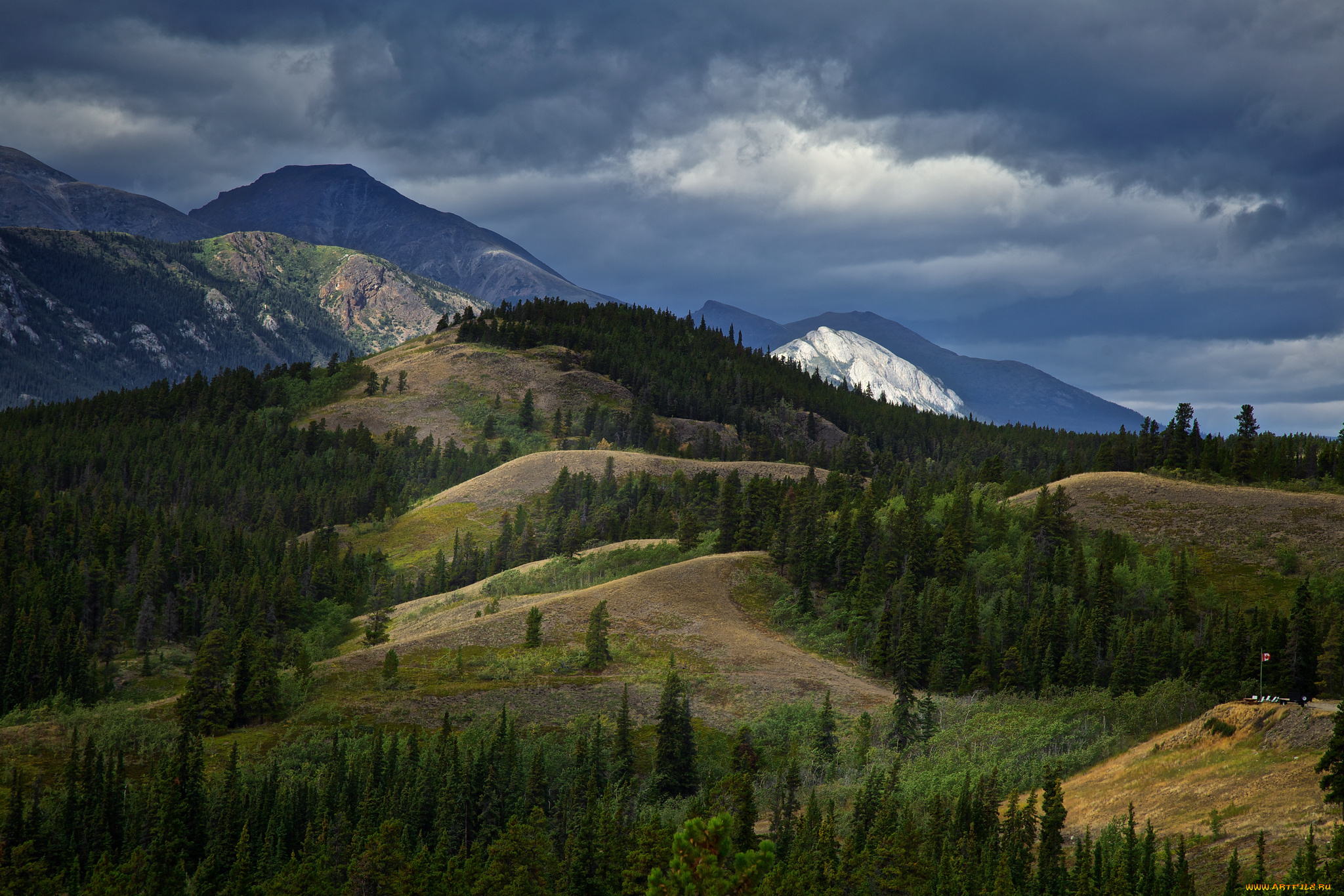 природа, горы, холмы, небо, лес