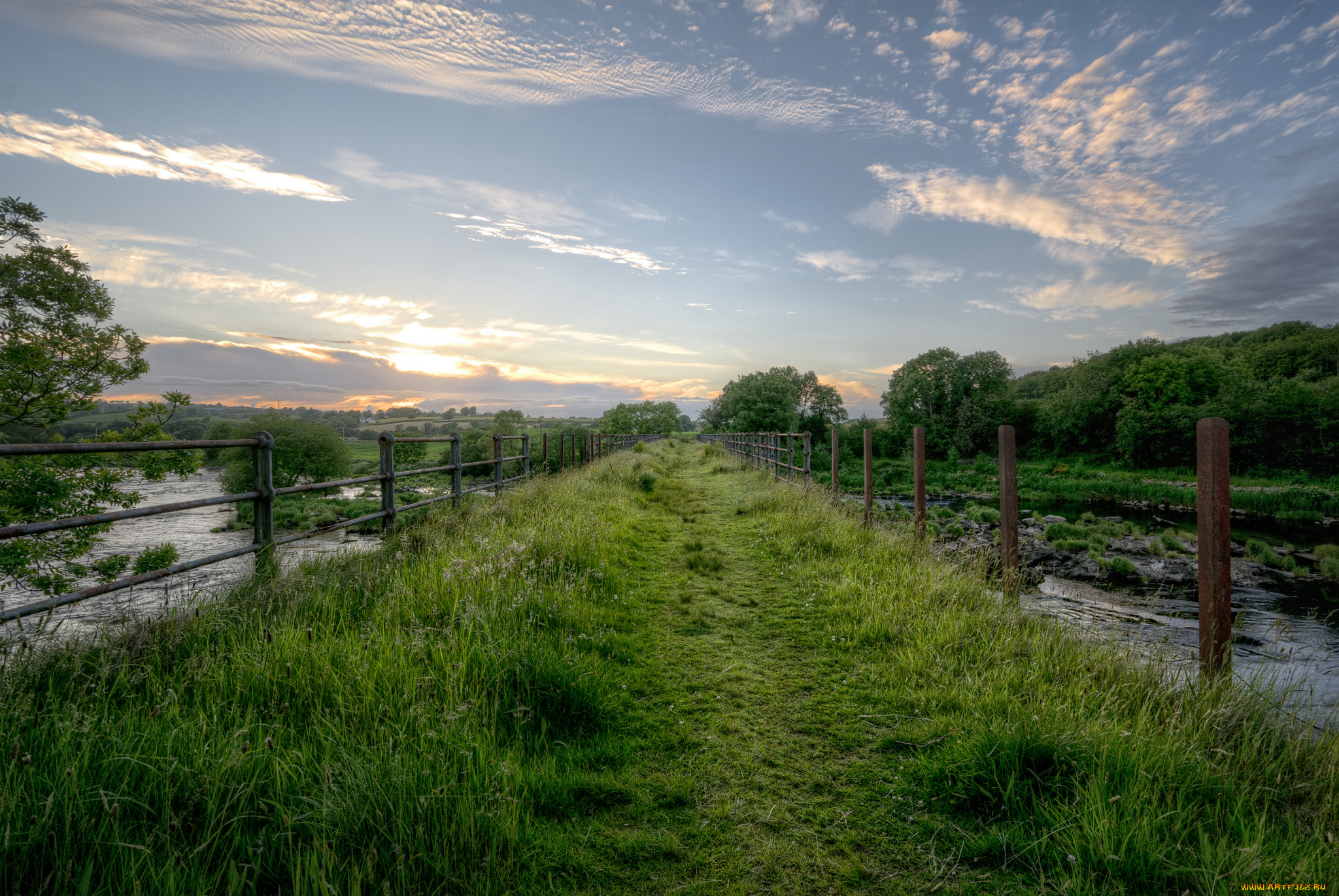 природа, дороги, трава, вода, тропинка
