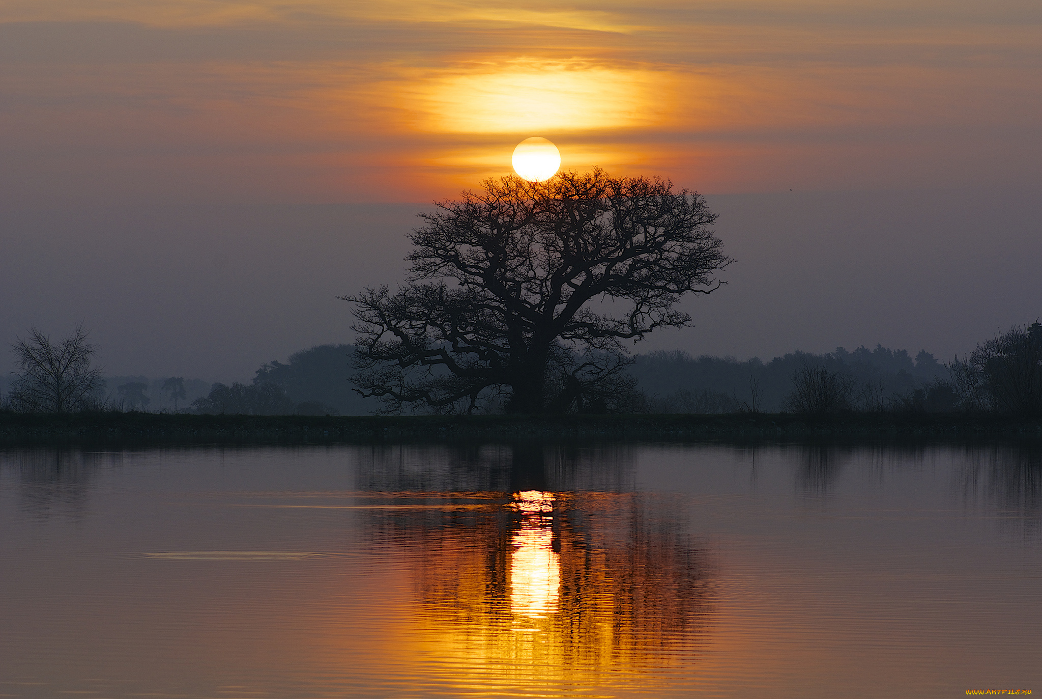 природа, восходы, закаты, озеро, отражение, закат, дерево, солнце, небо, облака