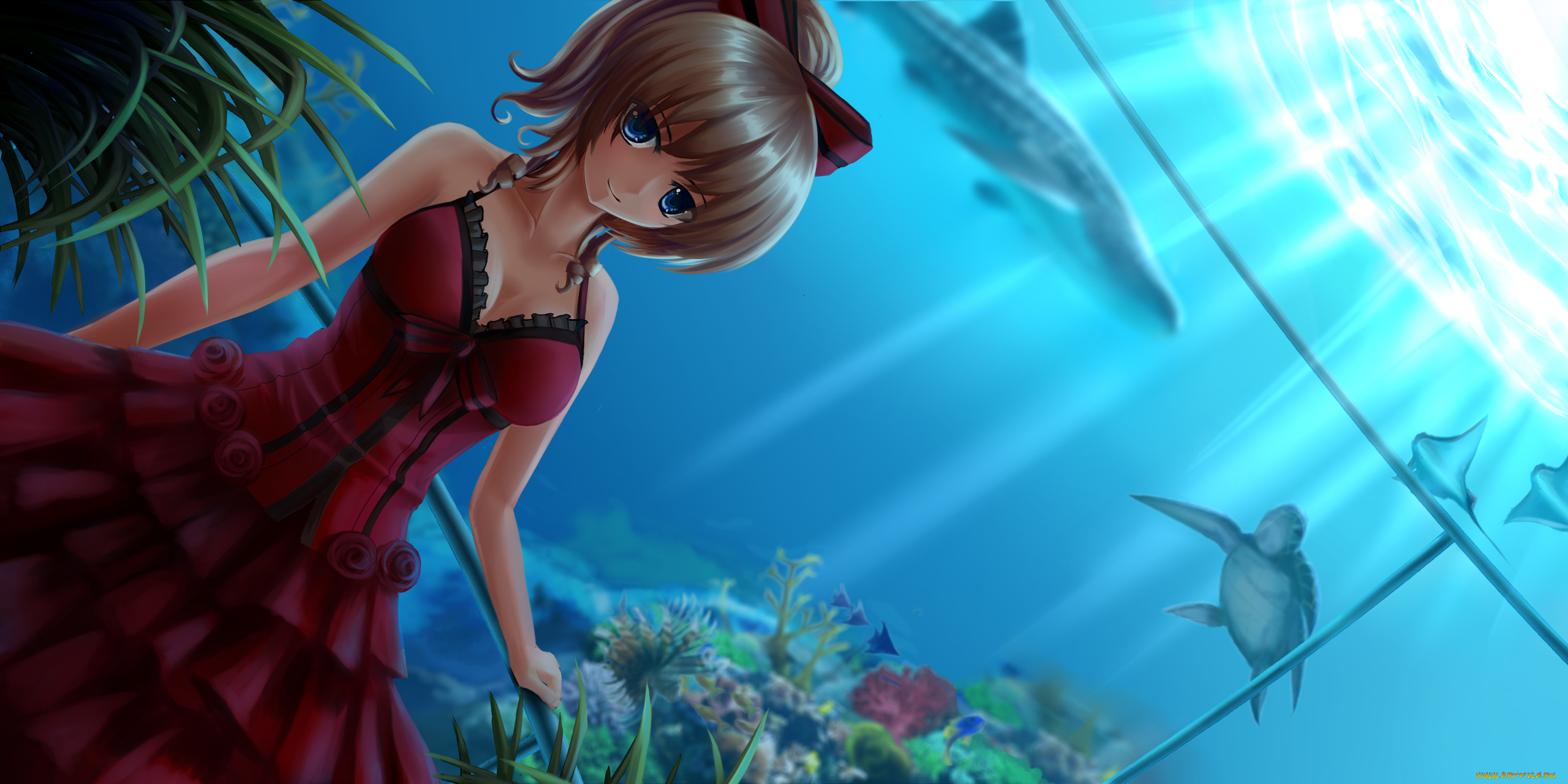 аниме, животные, , существа, платье, девушка, арт, черепаха, вода, взгляд, аквариум