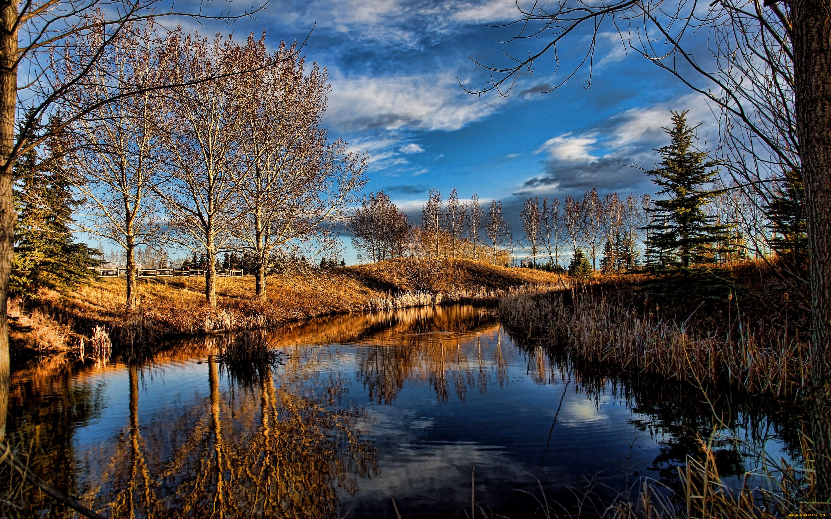 природа, реки, озера, облака, небо, пейзаж, красота, деревья