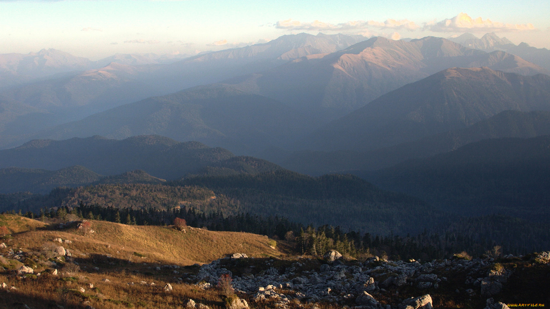 природа, горы, лес