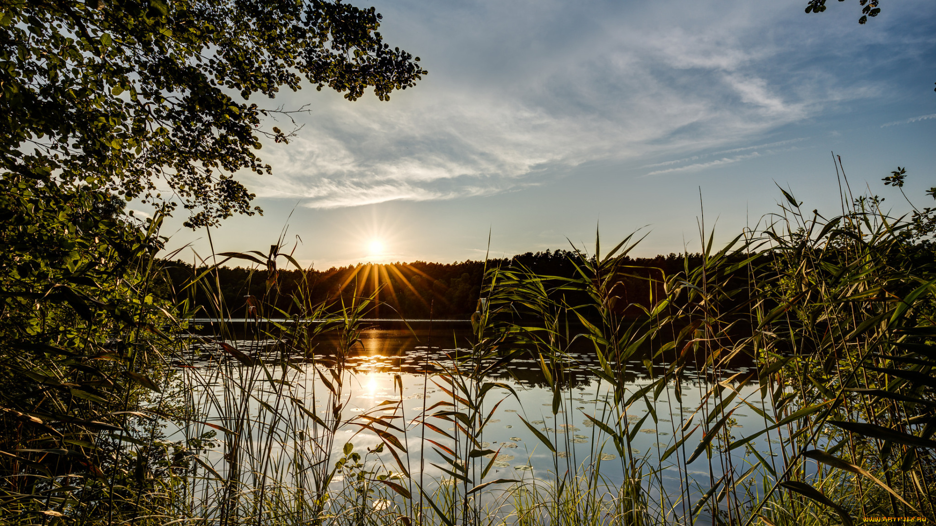 природа, реки, озера, рассвет