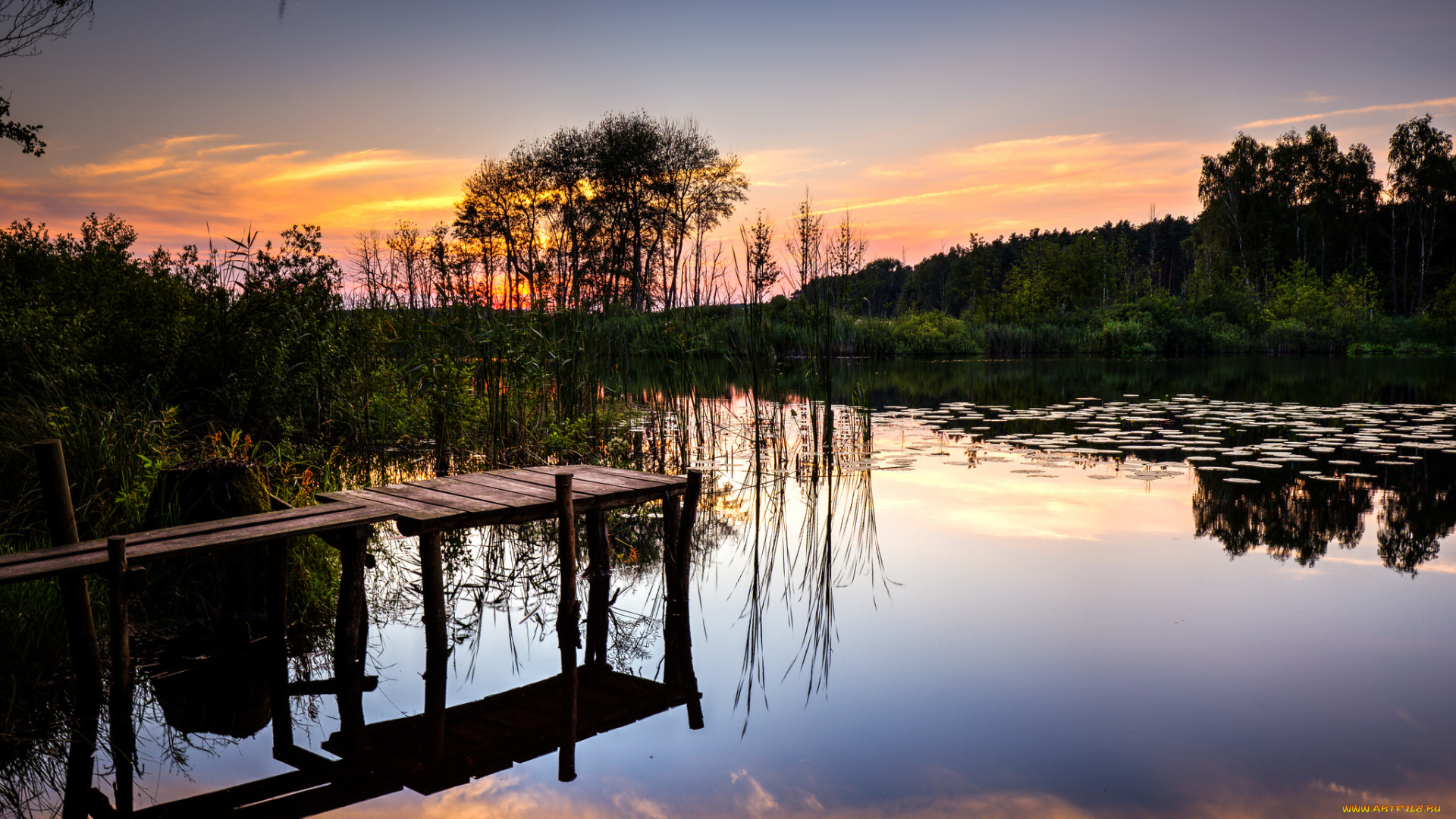 природа, реки, озера, рассвет