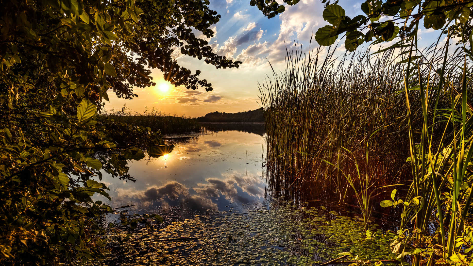 природа, реки, озера, рассвет