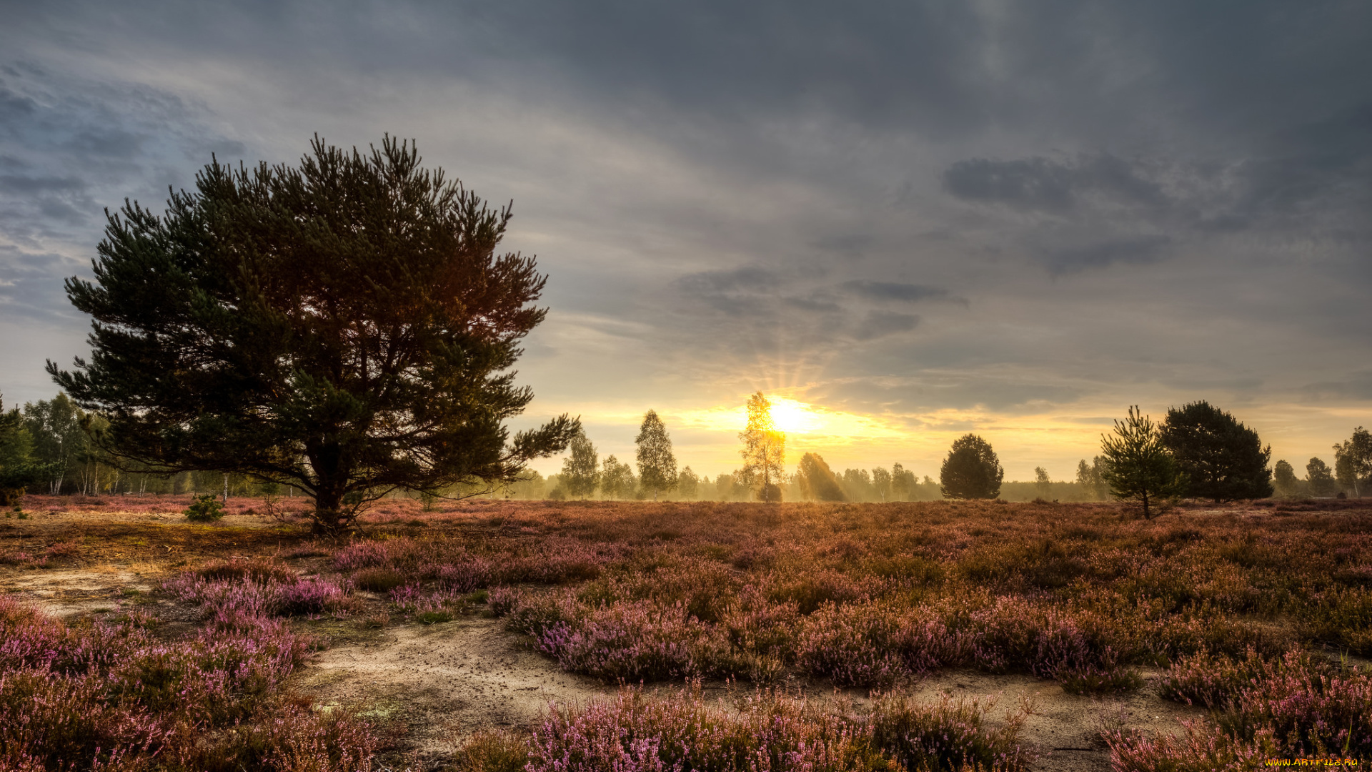 природа, восходы, закаты, рассвет