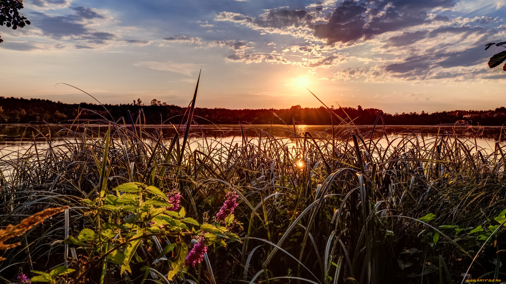 природа, восходы, закаты, рассвет