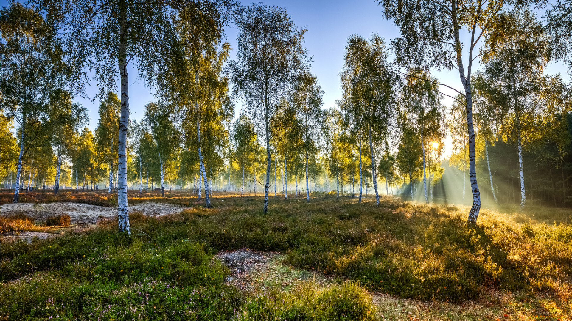 природа, восходы, закаты, рассвет