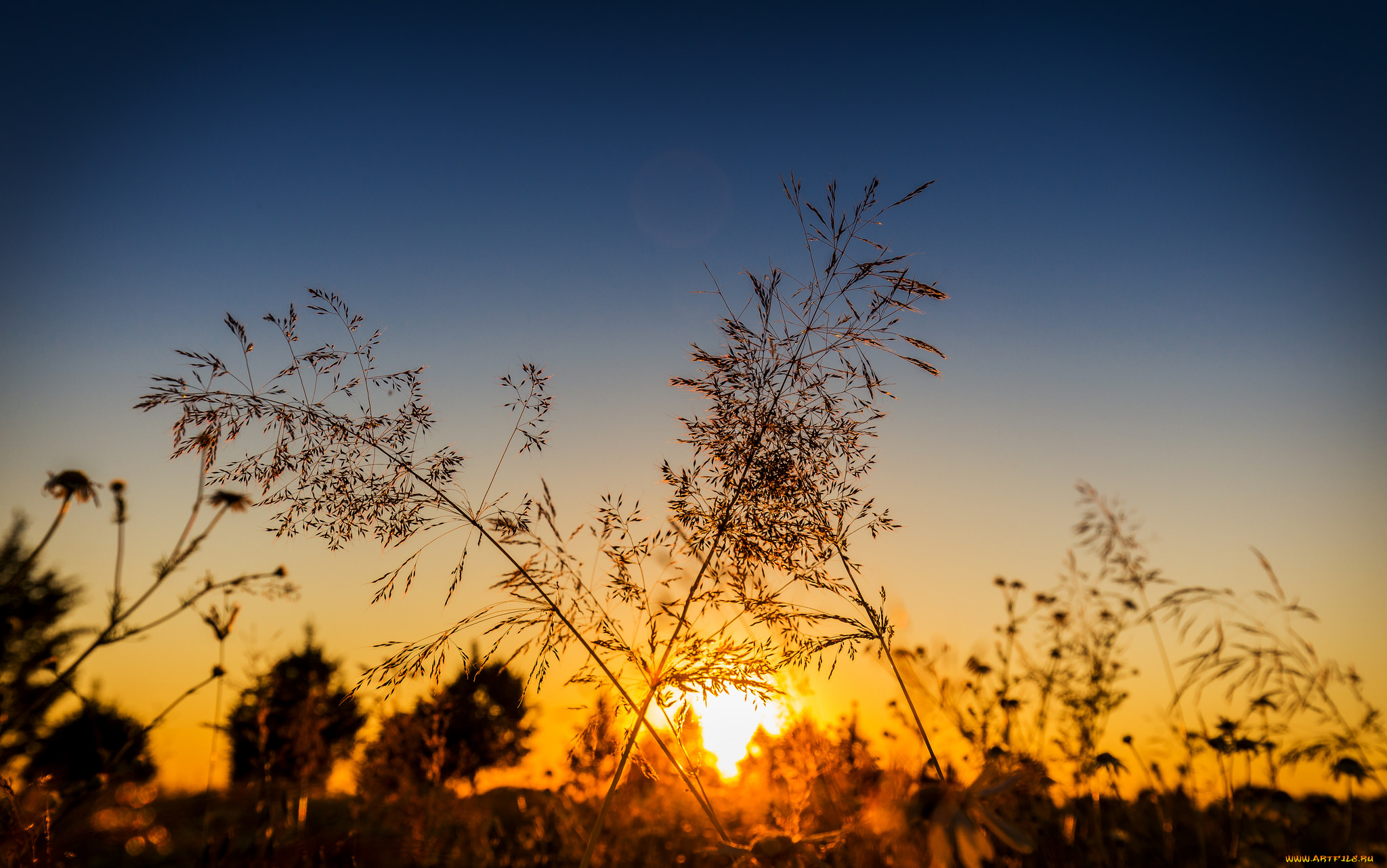 природа, восходы, закаты, рассвет