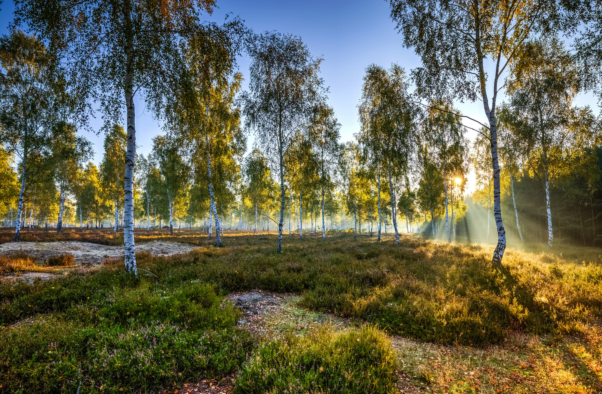 природа, восходы, закаты, рассвет