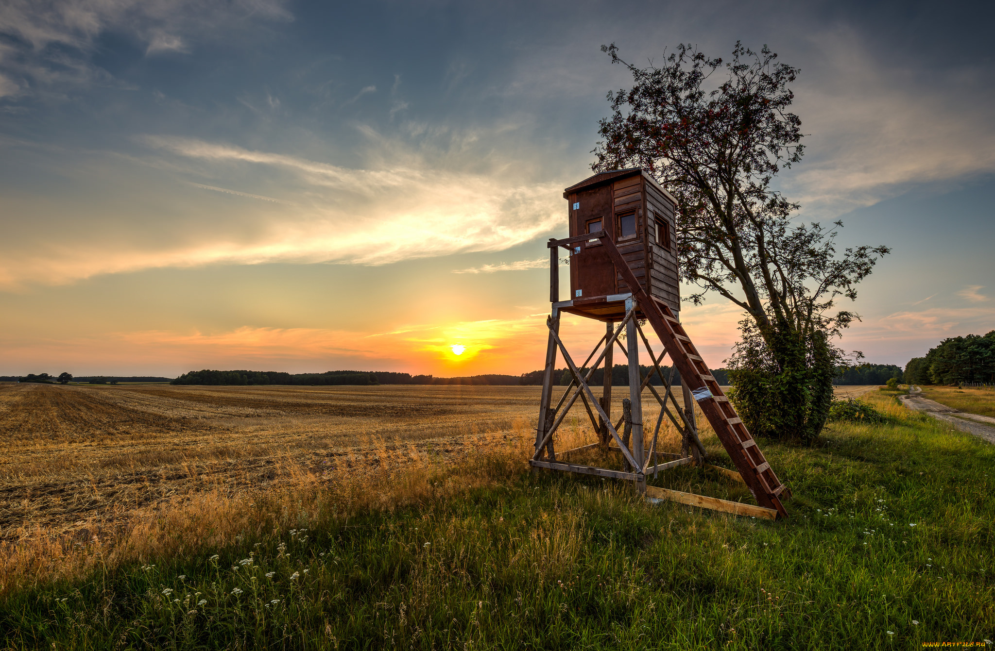 природа, восходы, закаты, рассвет