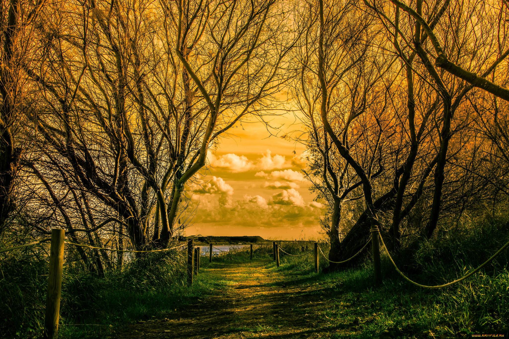 природа, восходы, закаты, рассвет