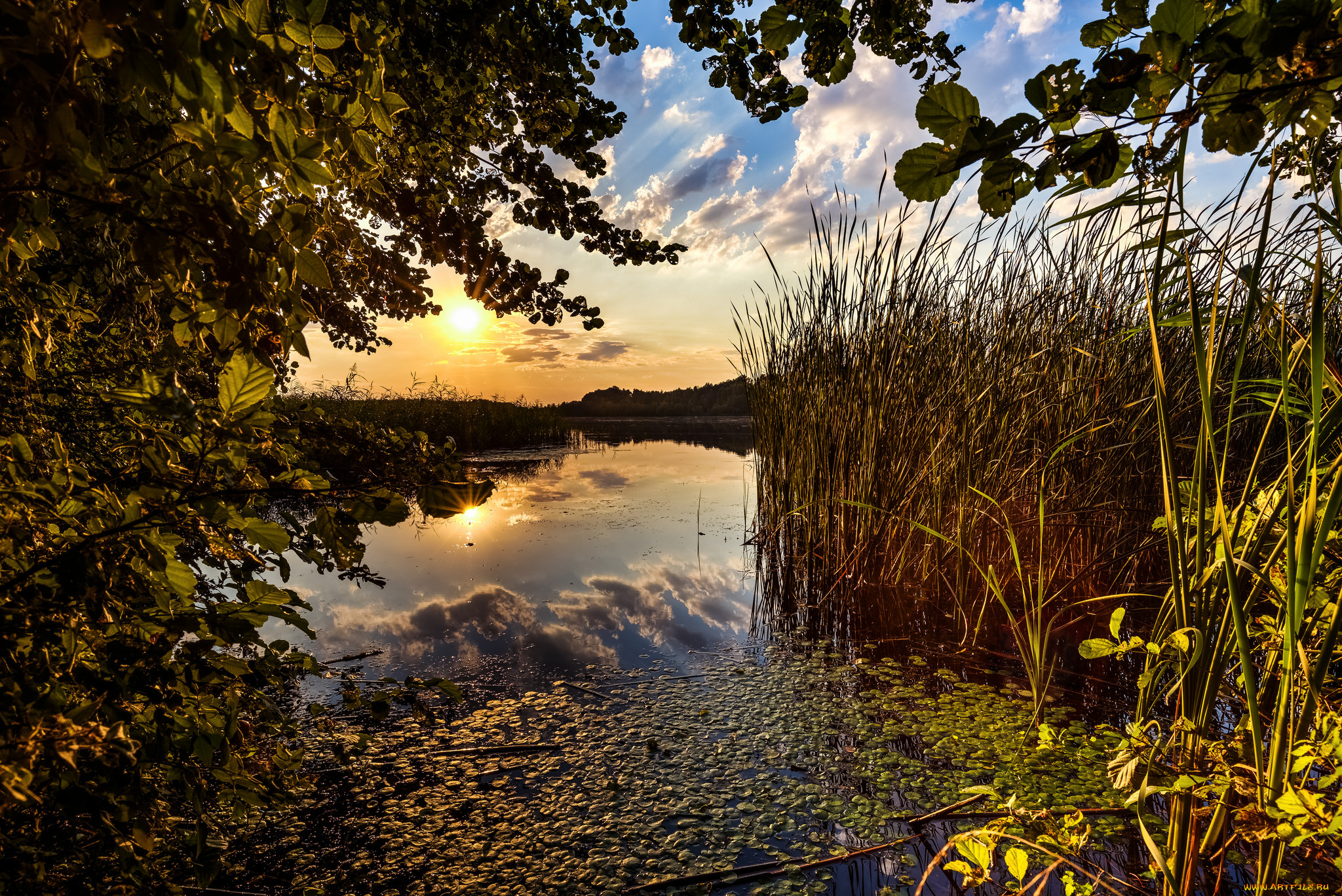 природа, реки, озера, рассвет