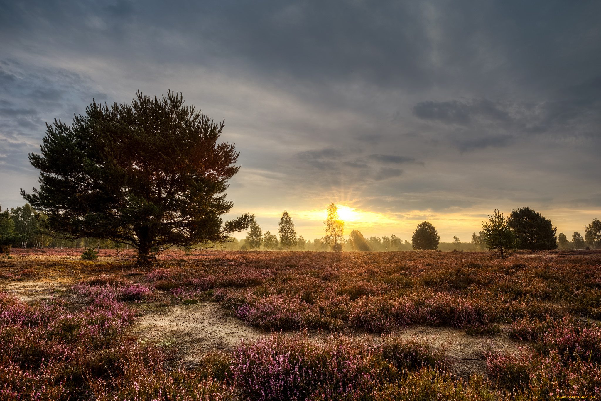 природа, восходы, закаты, рассвет