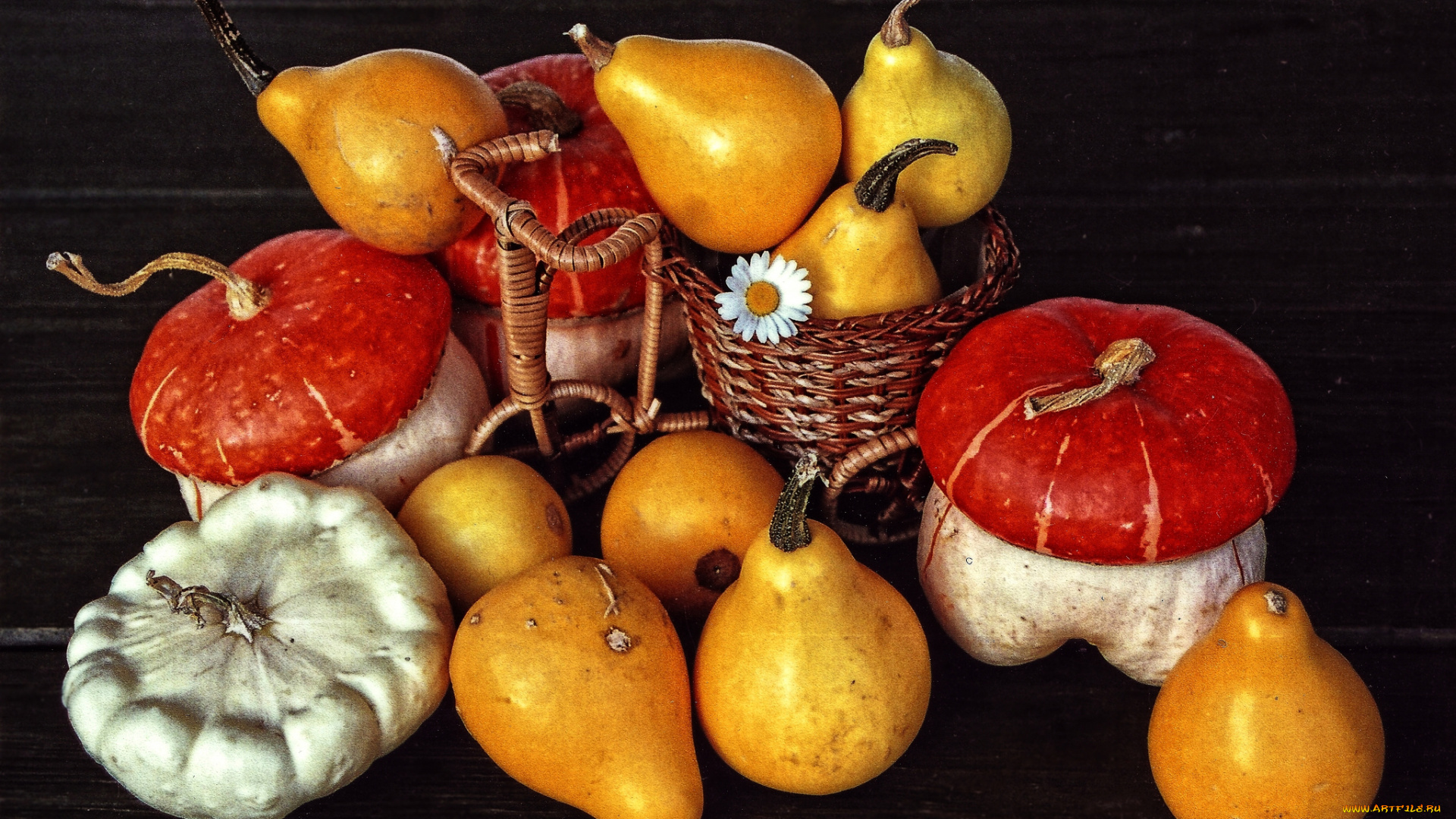 еда, фрукты, и, овощи, вместе, тыква, груши